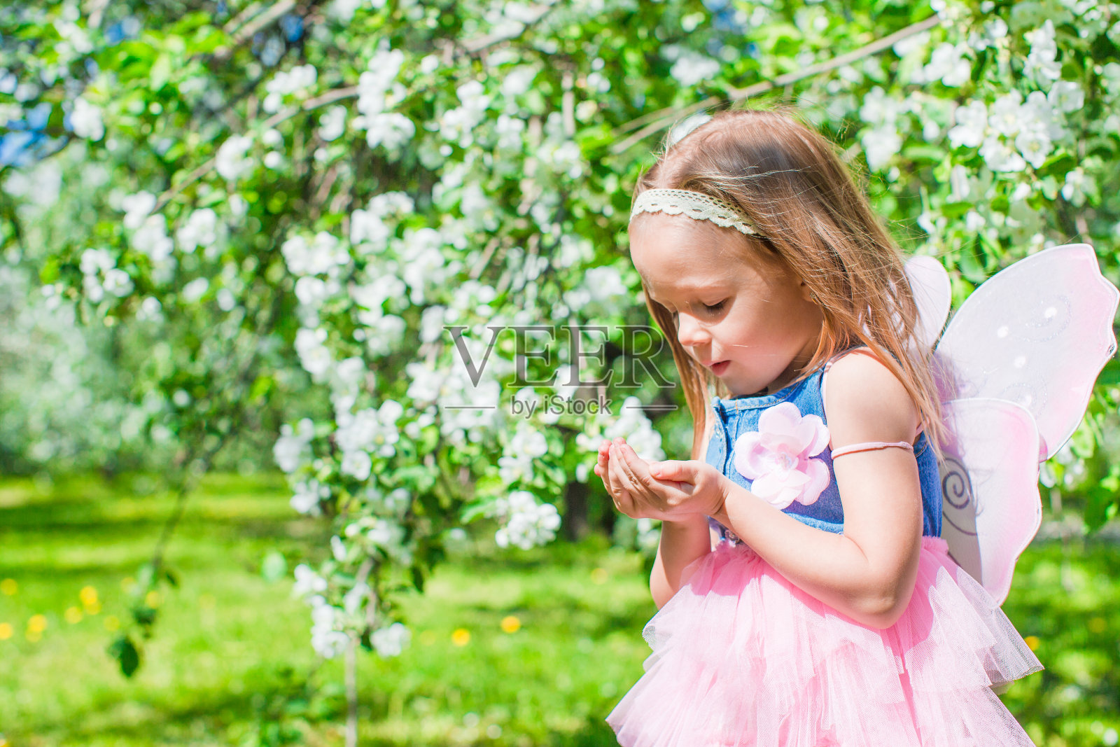可爱的小女孩在苹果园里开花照片摄影图片