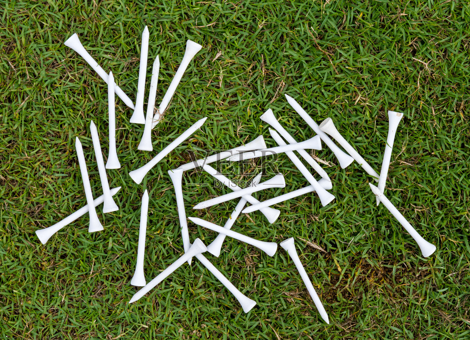 草地上的白木球座。照片摄影图片