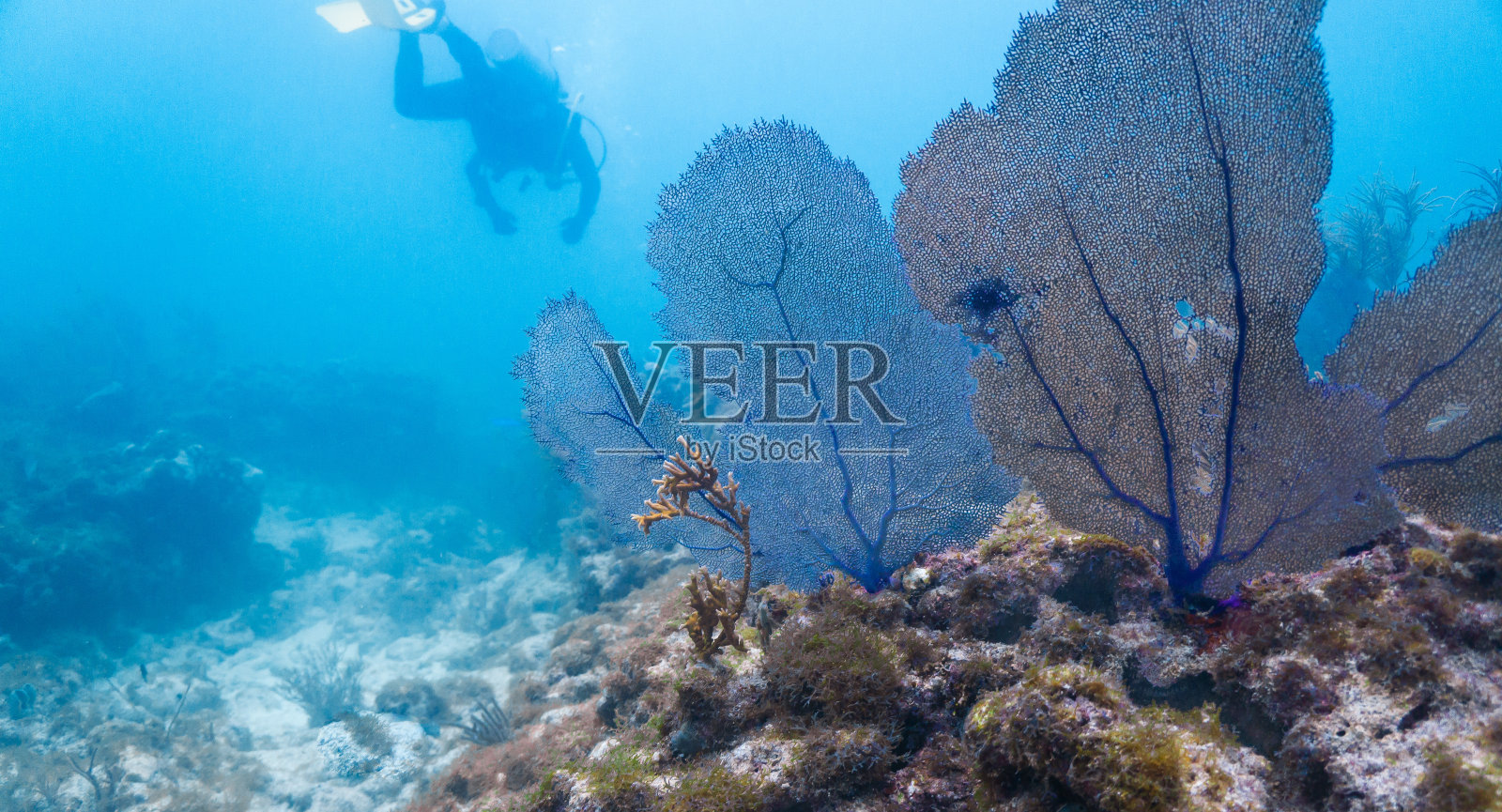 海洋探索照片摄影图片