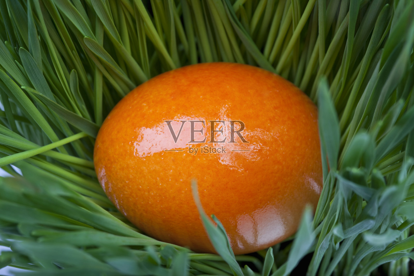 巢中的复活节蛋,特写,俯视图照片摄影图片