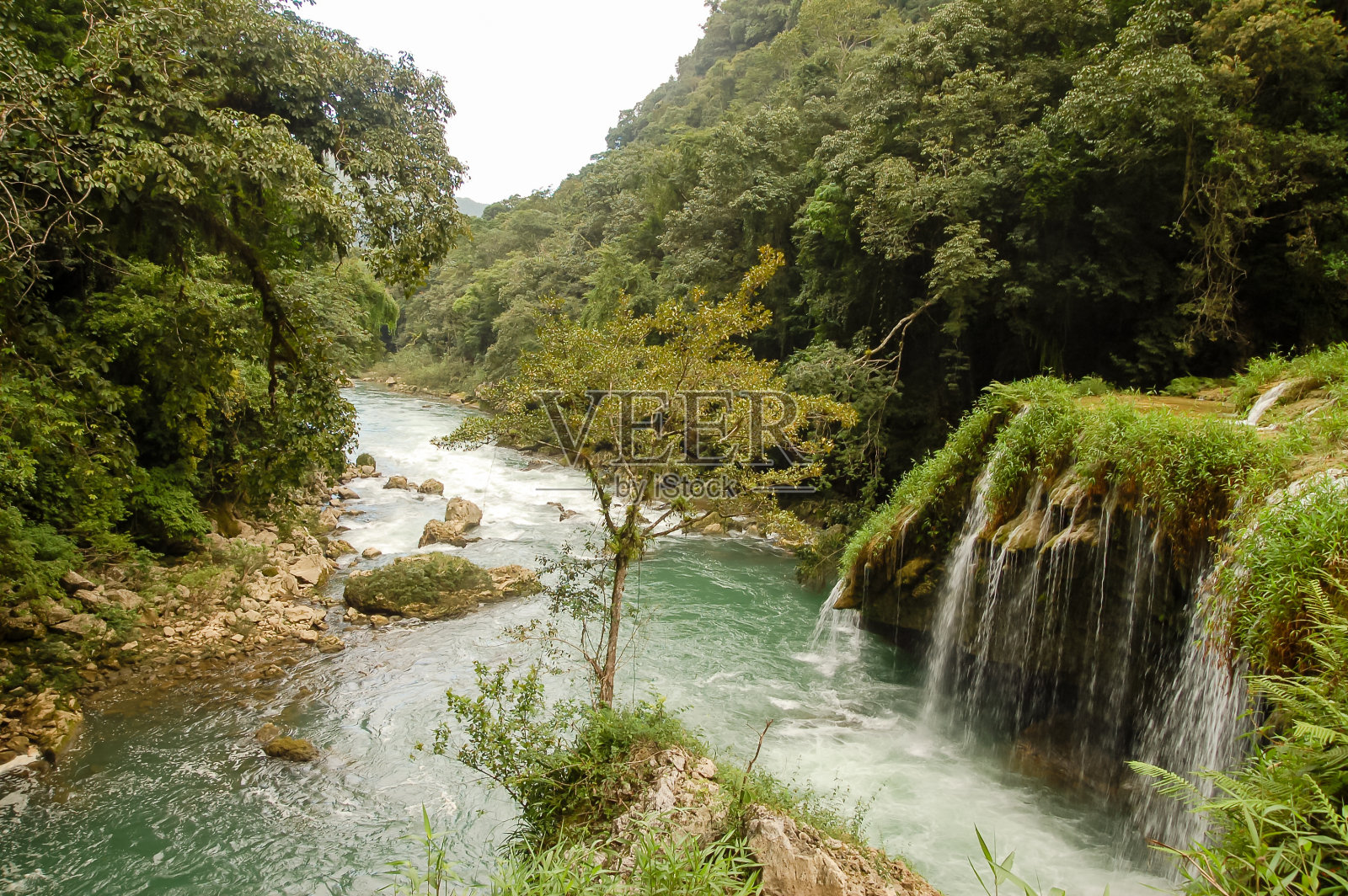 危地马拉的Champey Champey照片摄影图片