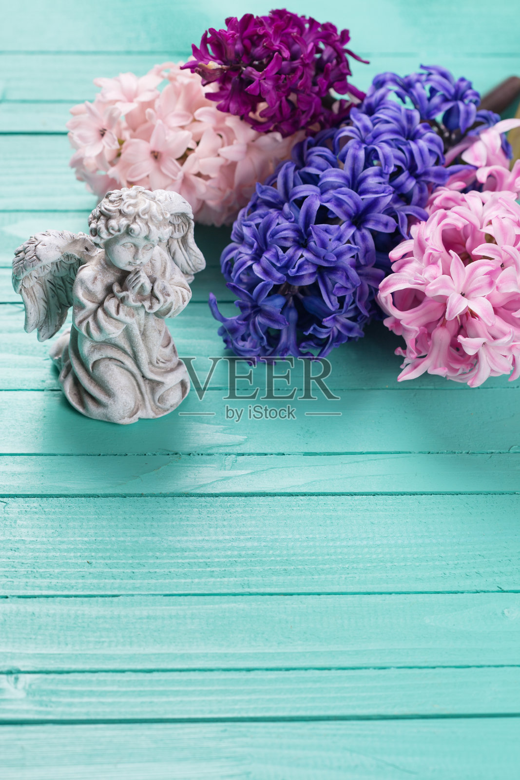 明信片与新鲜的春天鲜花风信子和天使照片摄影图片