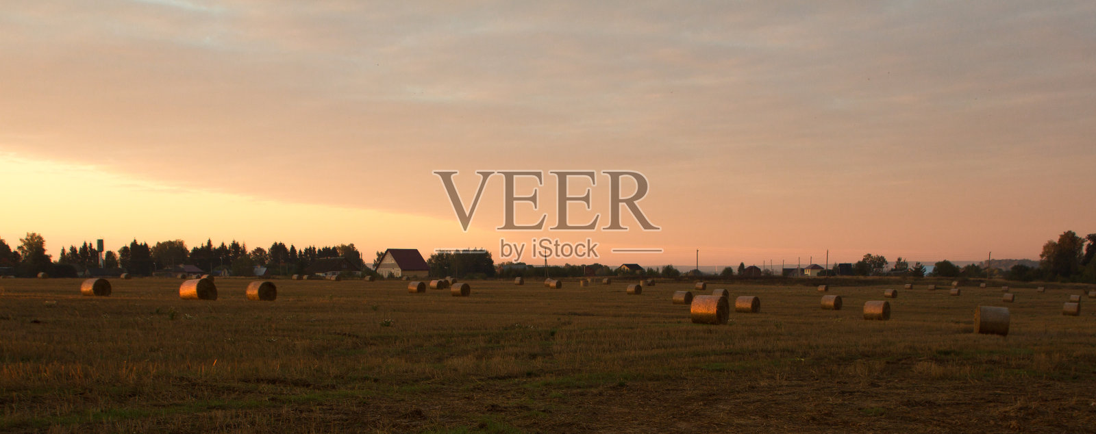 农场上的干草包照片摄影图片