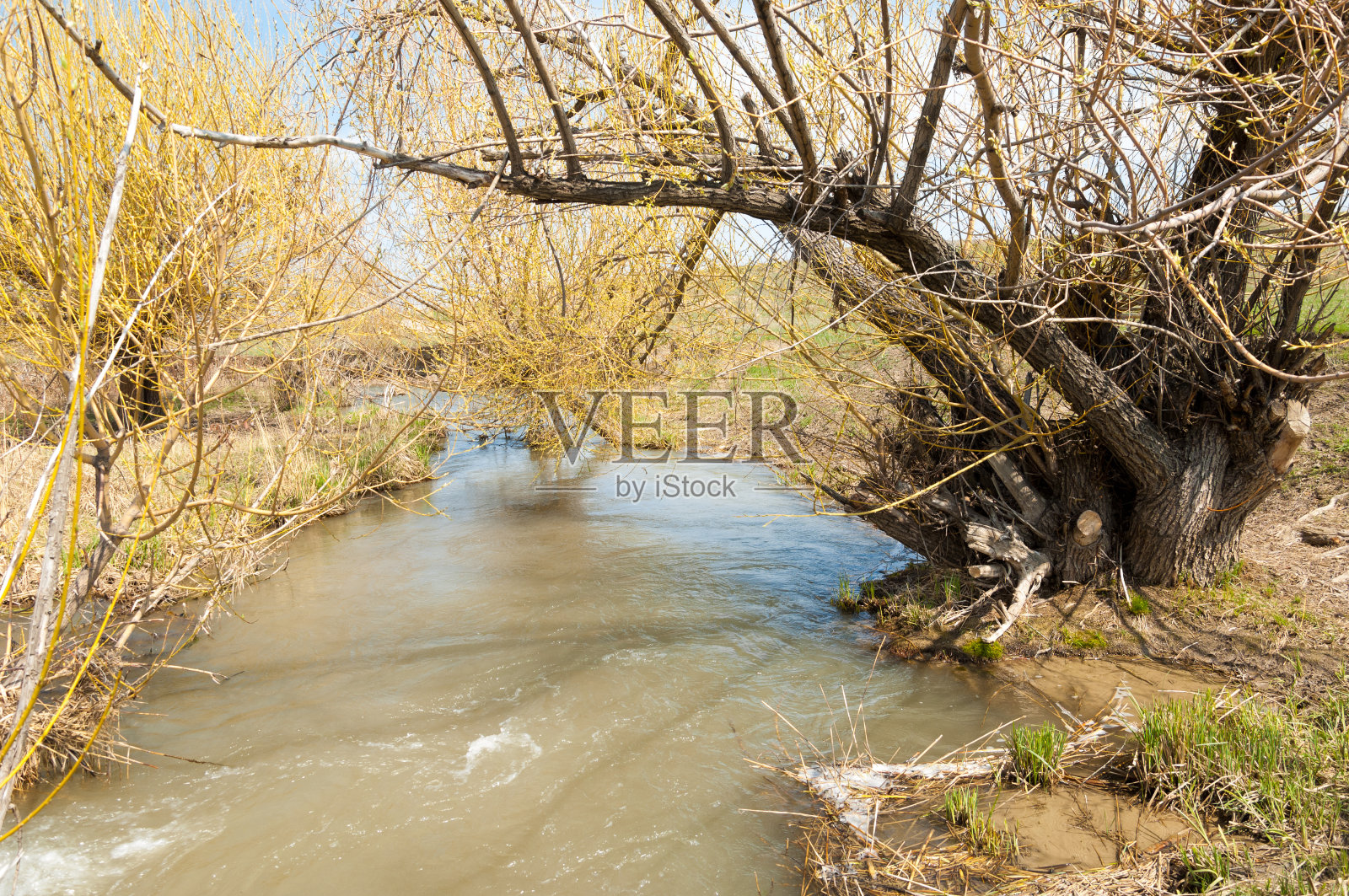 春天的小河照片摄影图片