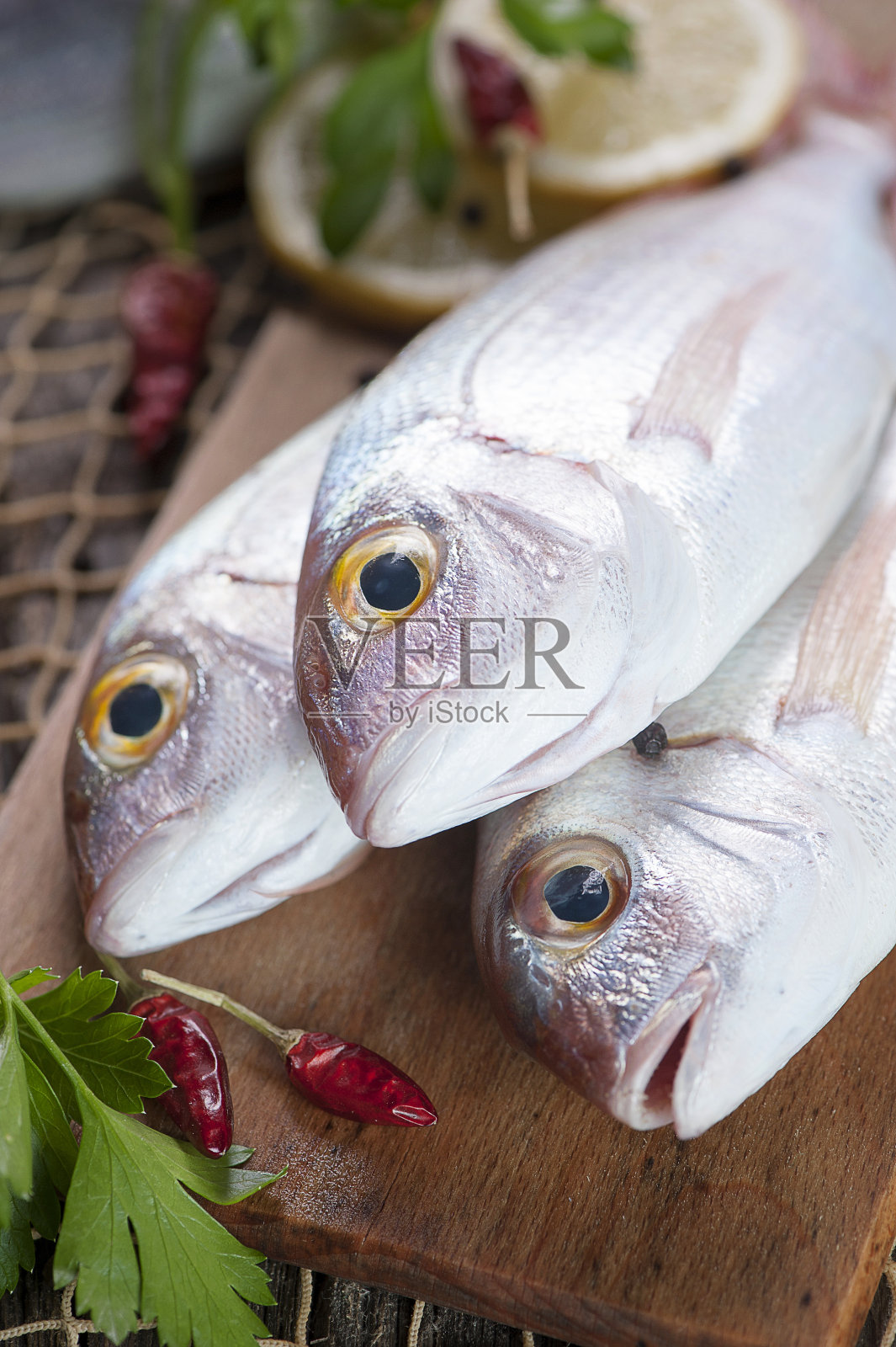 一堆鲜鱼照片摄影图片