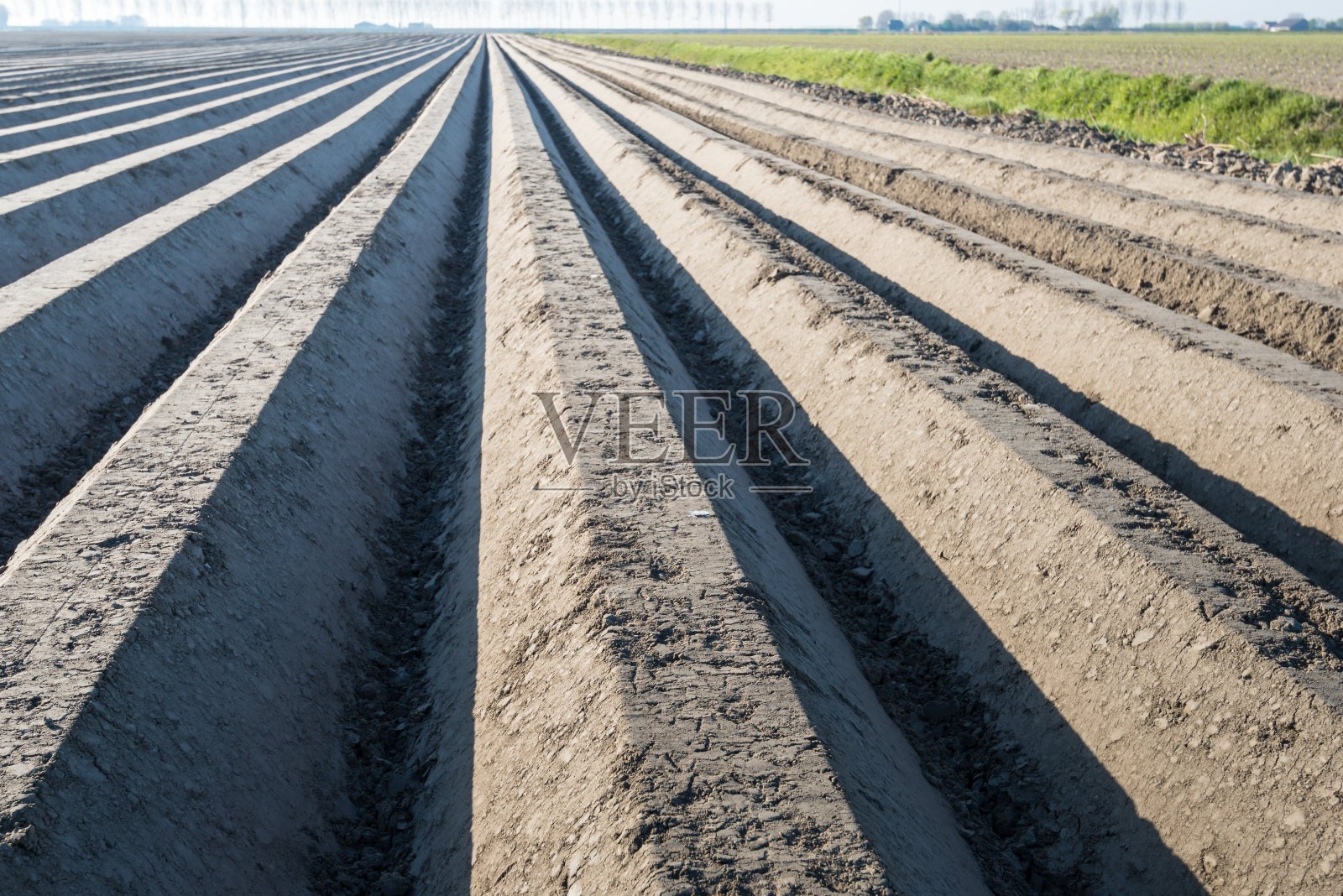光滑的粘土形成的土豆脊照片摄影图片