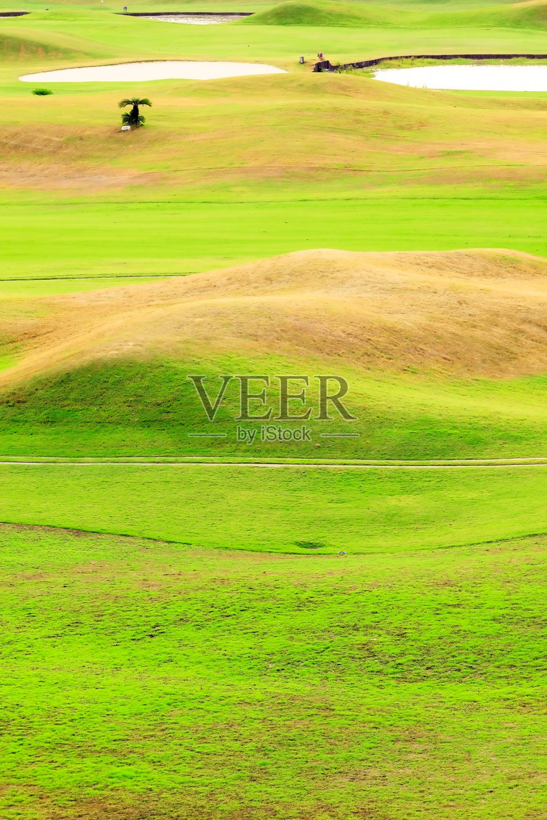 漂亮的高尔夫球场,有很好的背景照片摄影图片