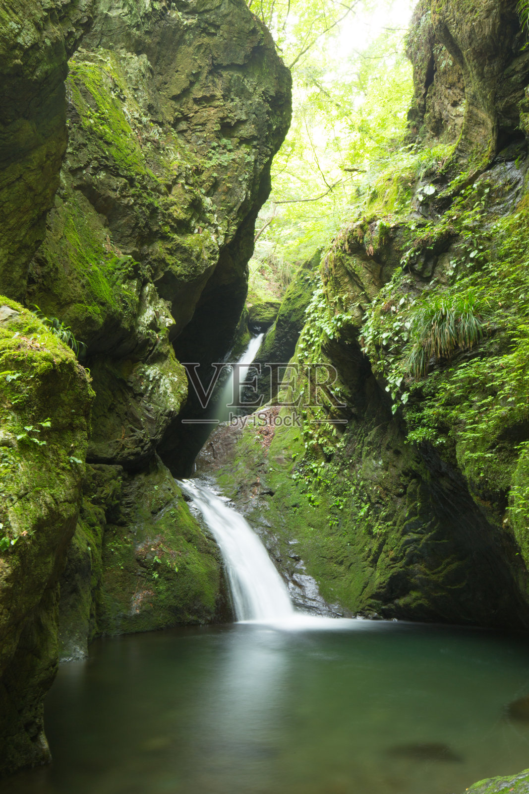 瀑布与翠绿照片摄影图片