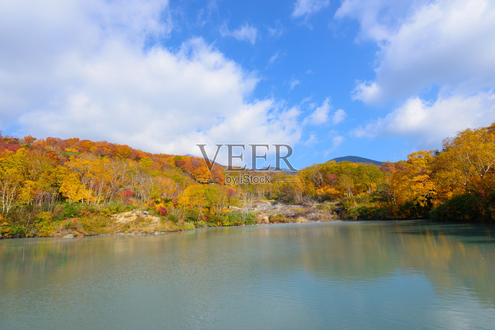 日本青森的秋叶照片摄影图片