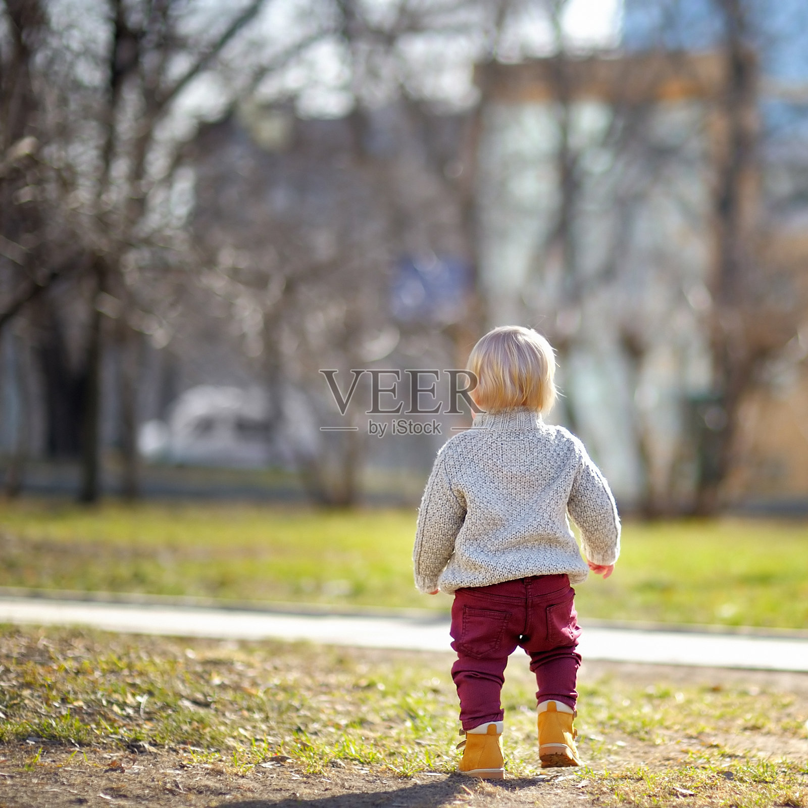 漂亮的蹒跚学步的小男孩在户外散步照片摄影图片