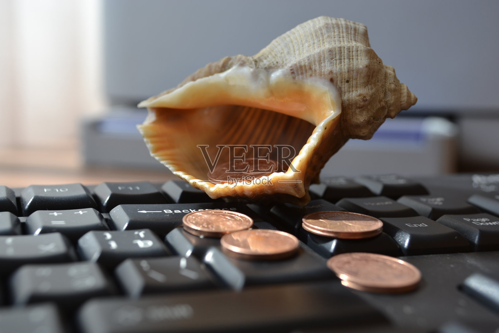 键盘与壳牌照片摄影图片