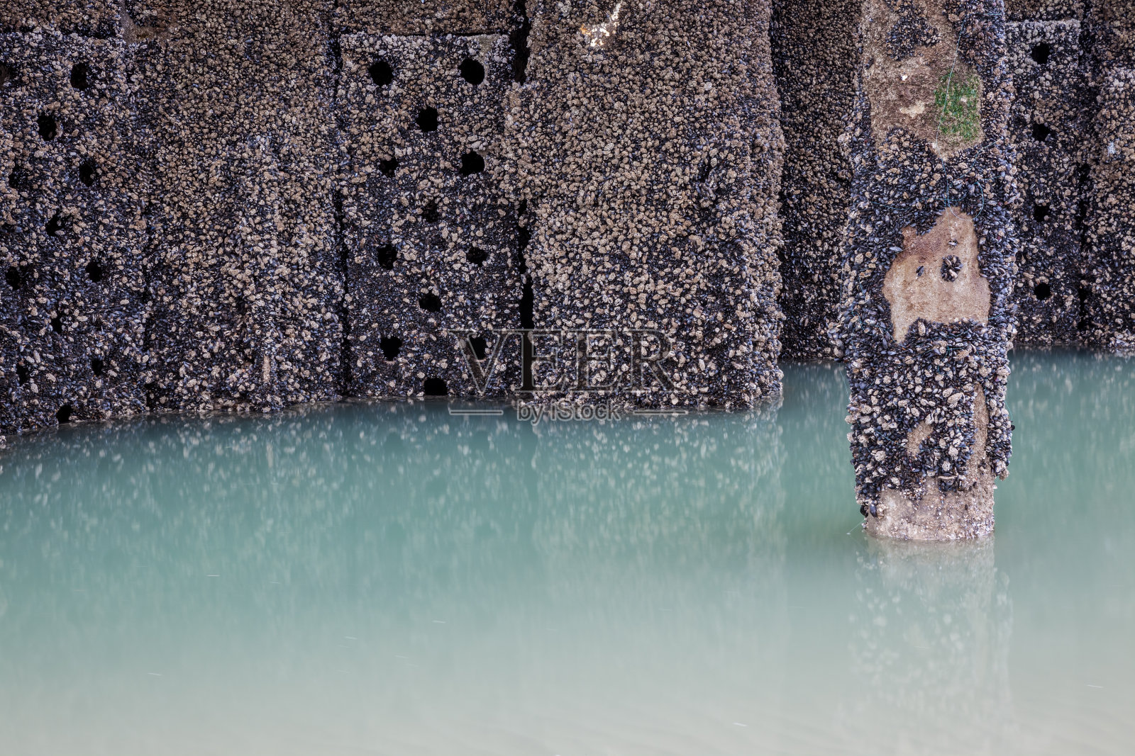 海沙中的极点照片摄影图片