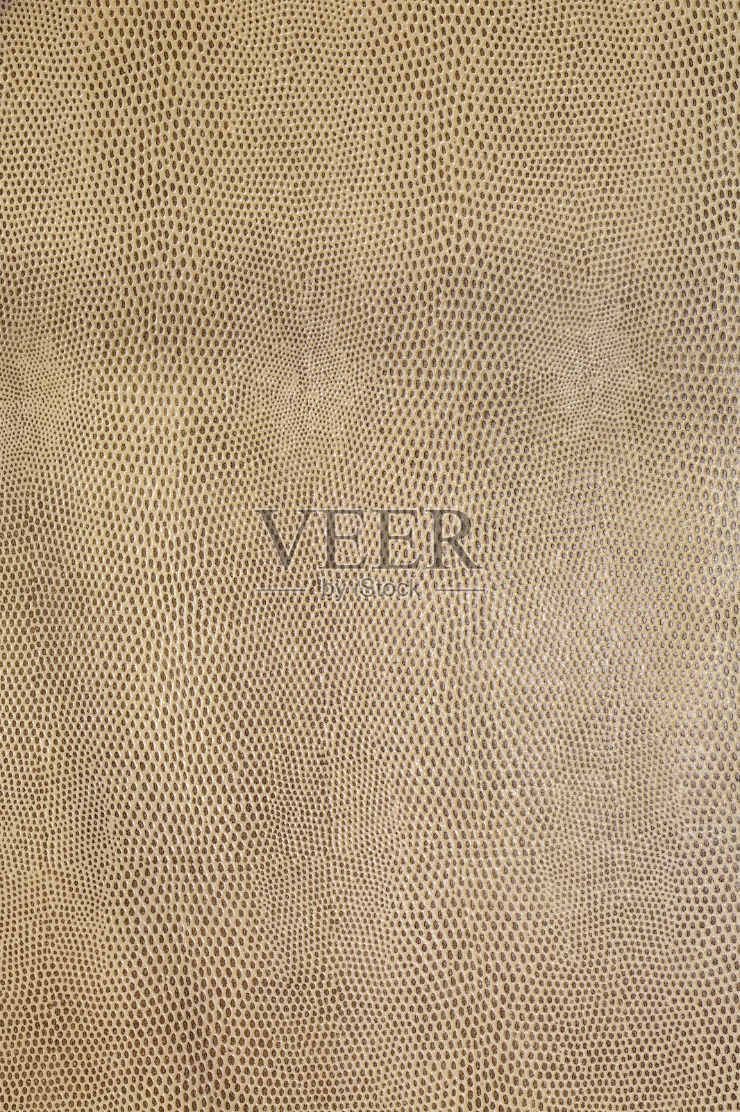 地板上照片摄影图片