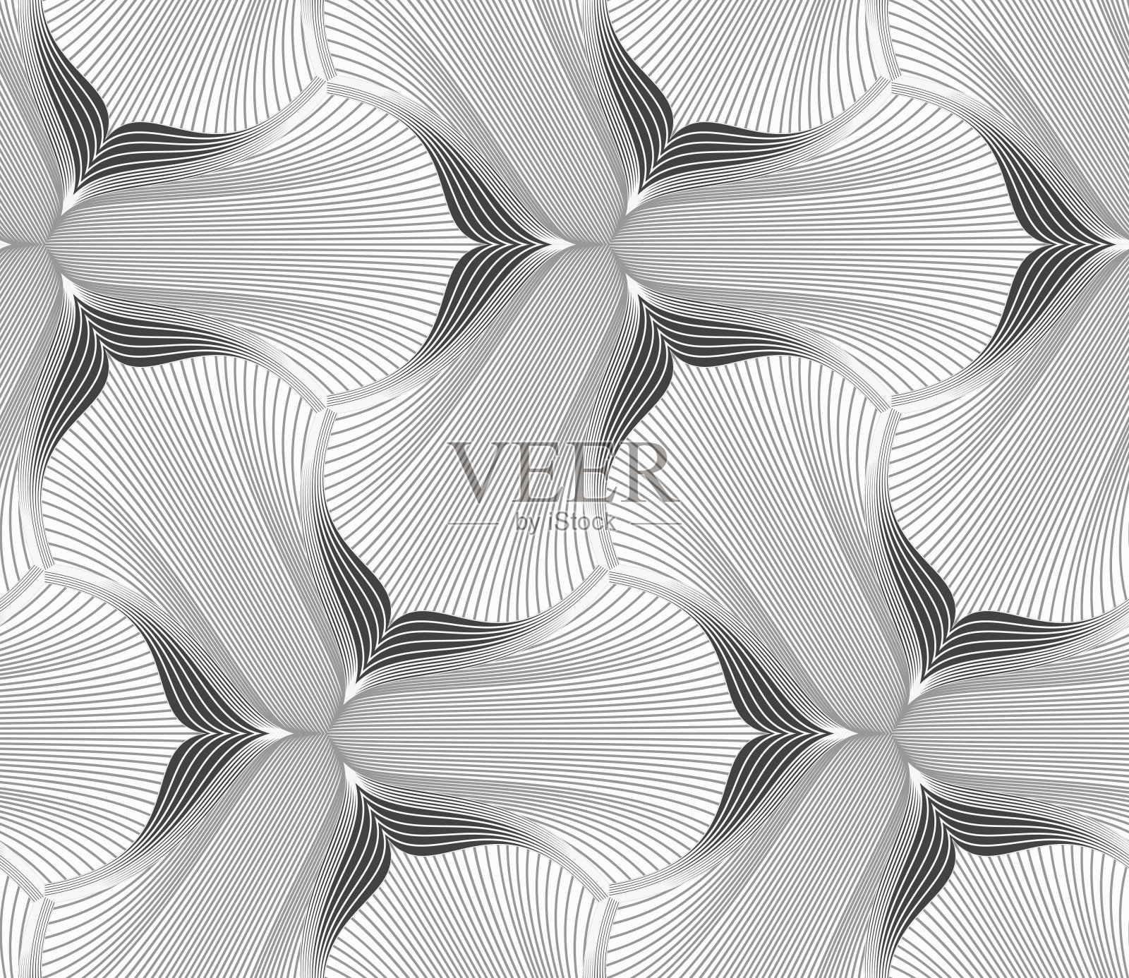 细长的灰色孵化三叶花插画图片素材