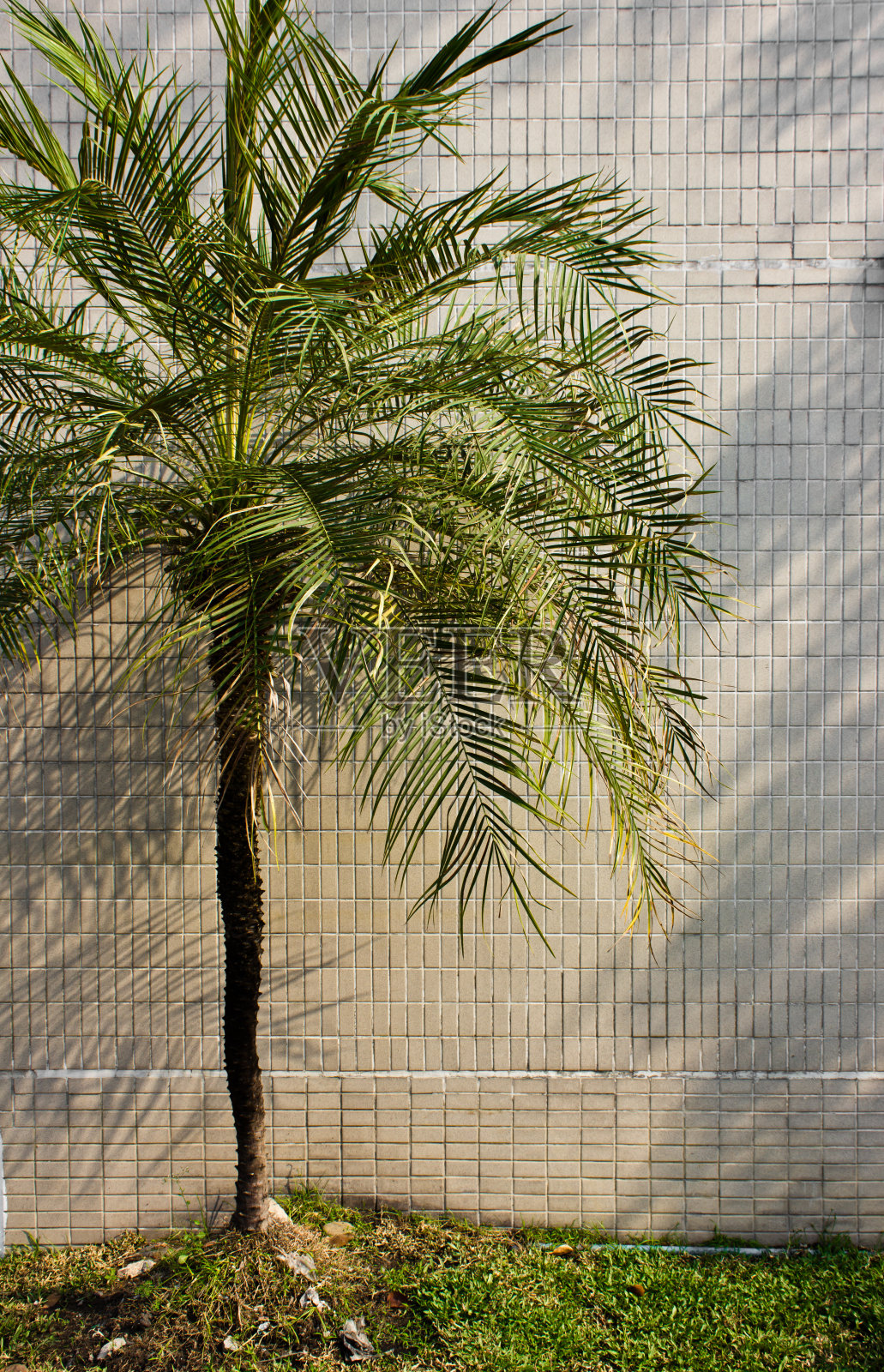 墙空内部与手掌照片摄影图片