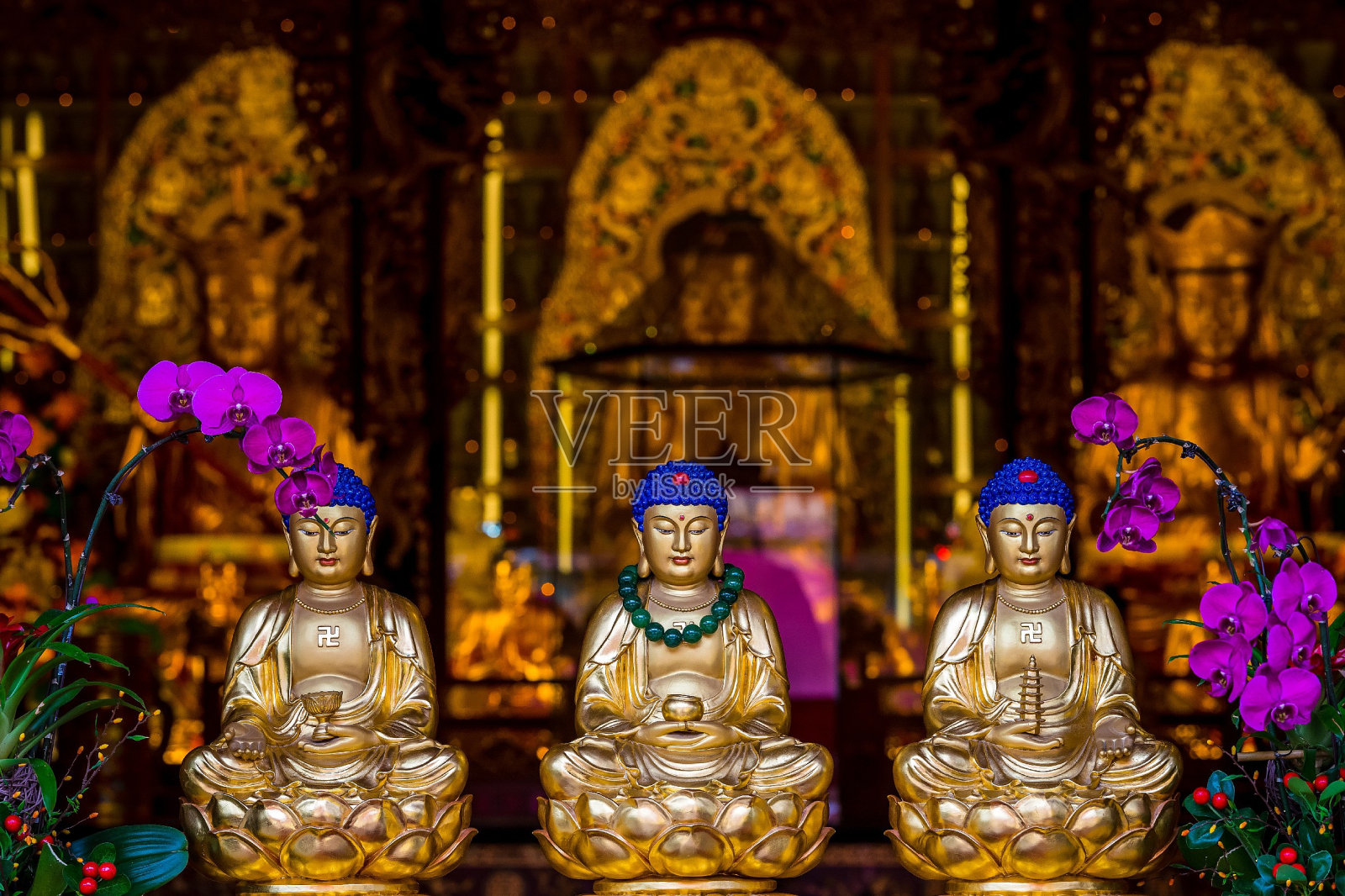 香港万佛寺照片摄影图片