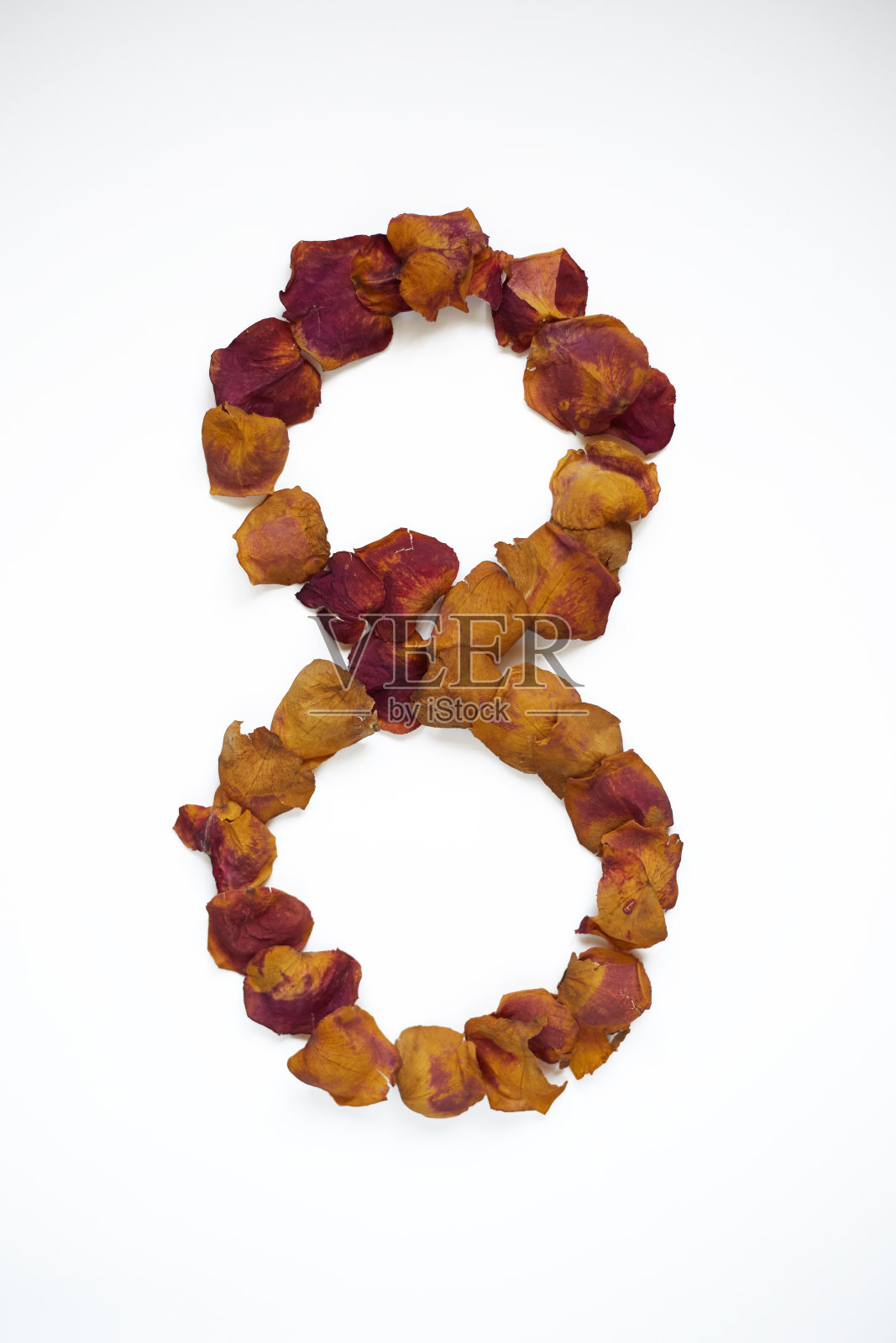 八号照片摄影图片