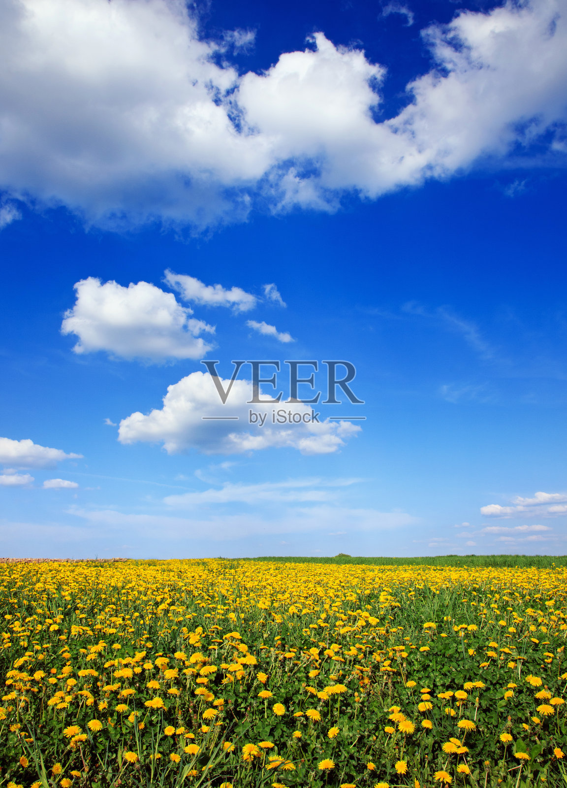 金色的夕阳照片摄影图片