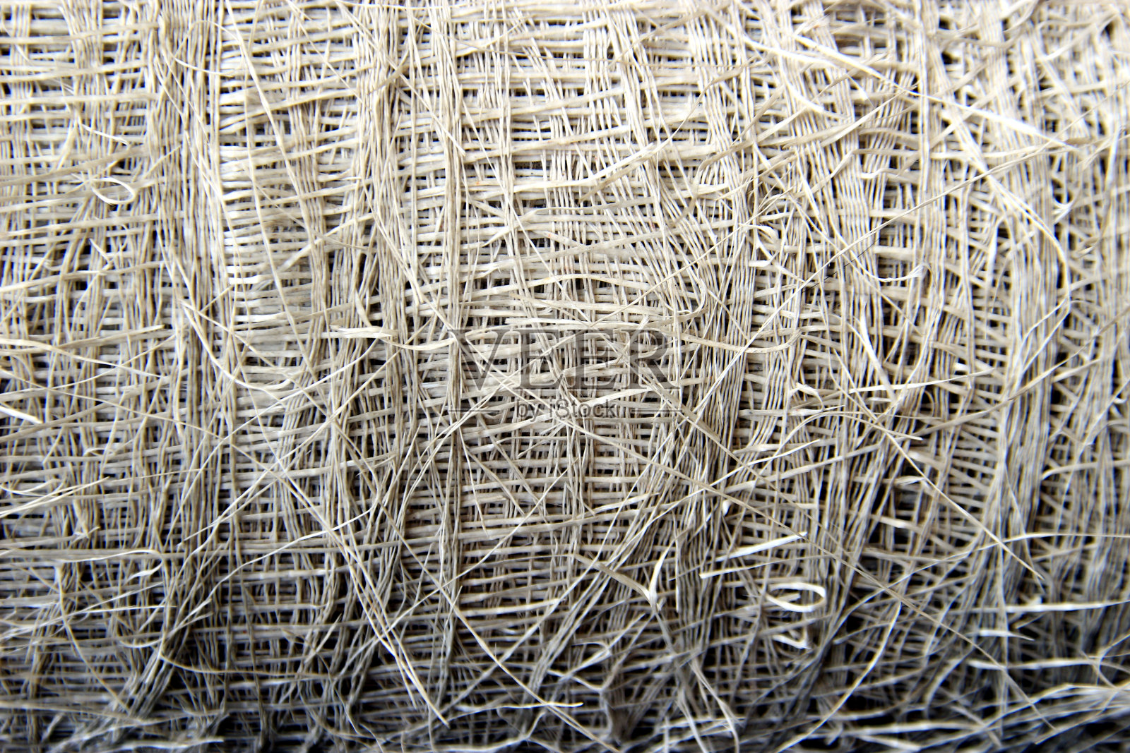 鸟网藤照片摄影图片