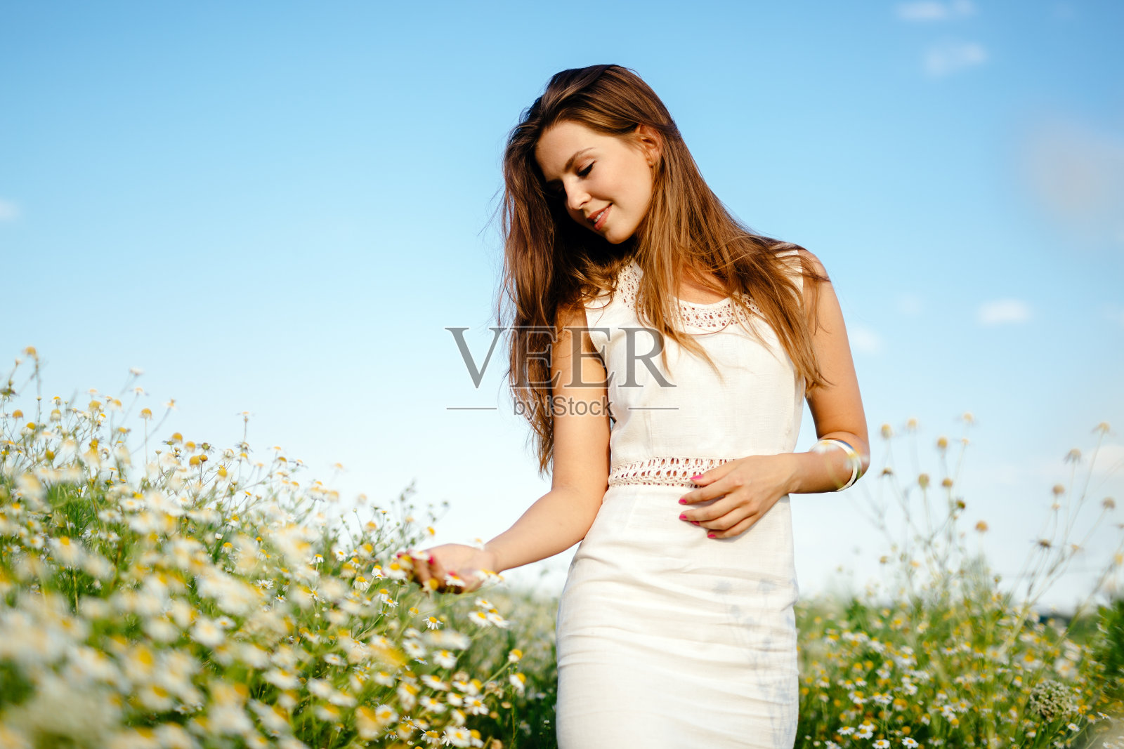 美丽的褐发女子在草地上照片摄影图片