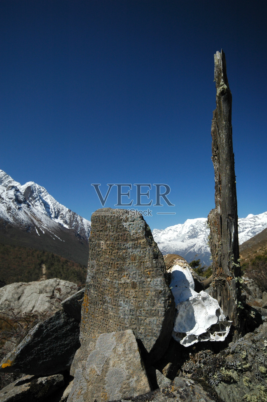 西藏祈祷者“唵马尼帕德美哼”在岩石上照片摄影图片
