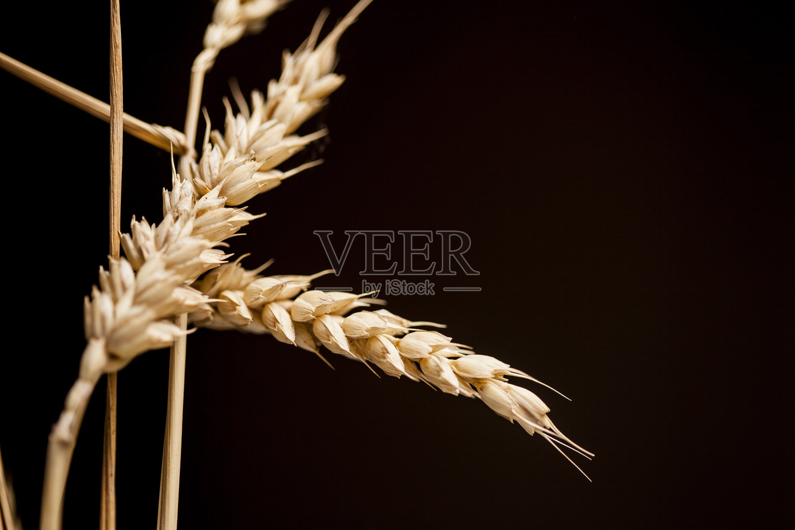 麦片照片摄影图片