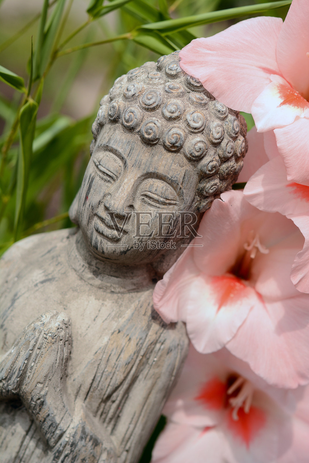 灰色佛像在花园里与竹子和羽扇豆照片摄影图片