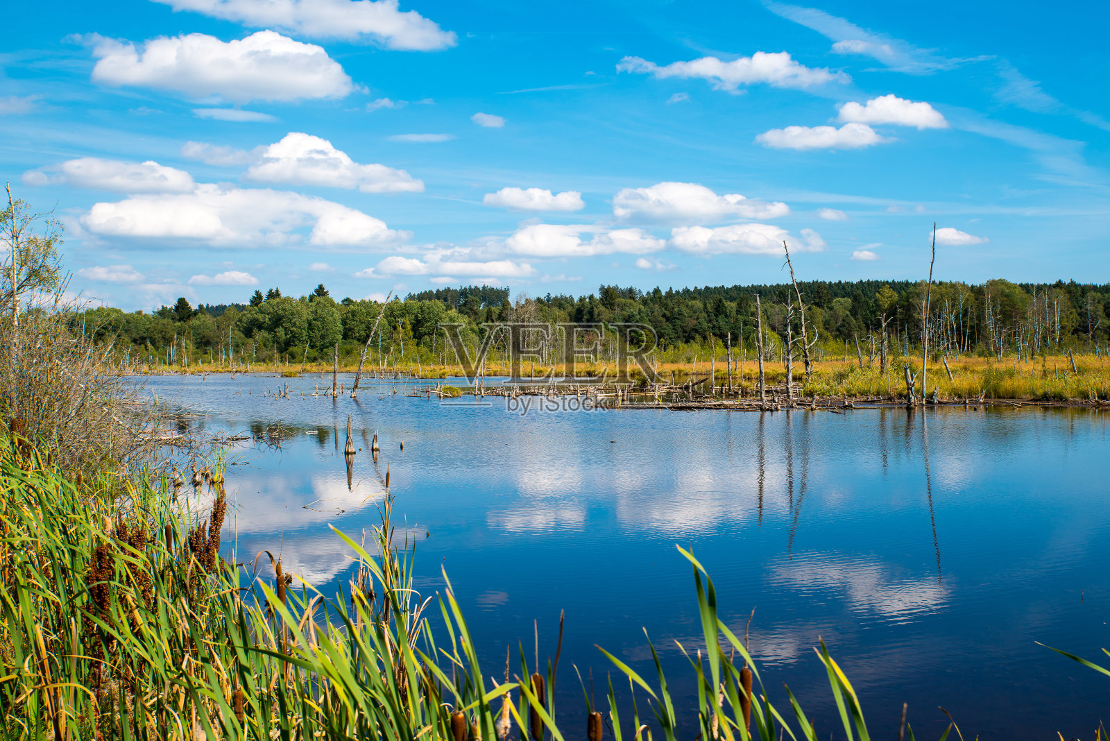 内卡河照片摄影图片