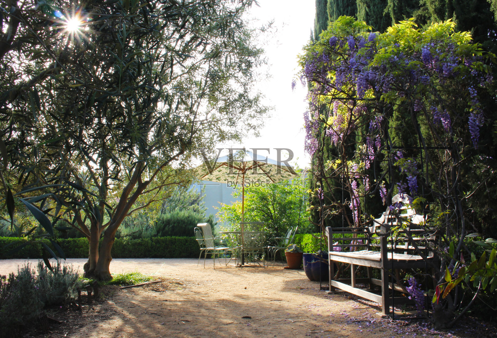 在一个美丽的花园的休息区照片摄影图片