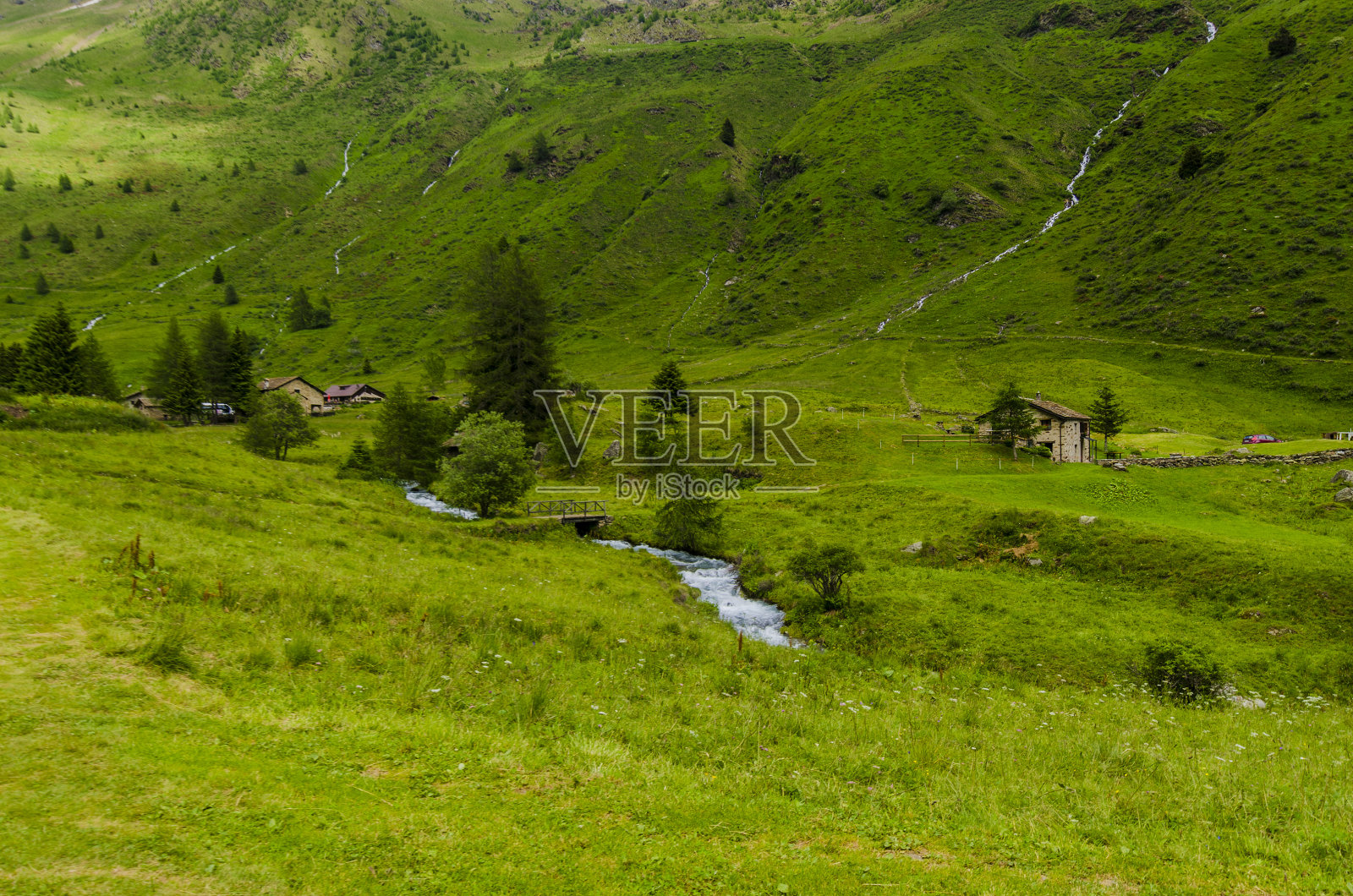 阿尔卑斯山山谷中的山地草甸和森林照片摄影图片