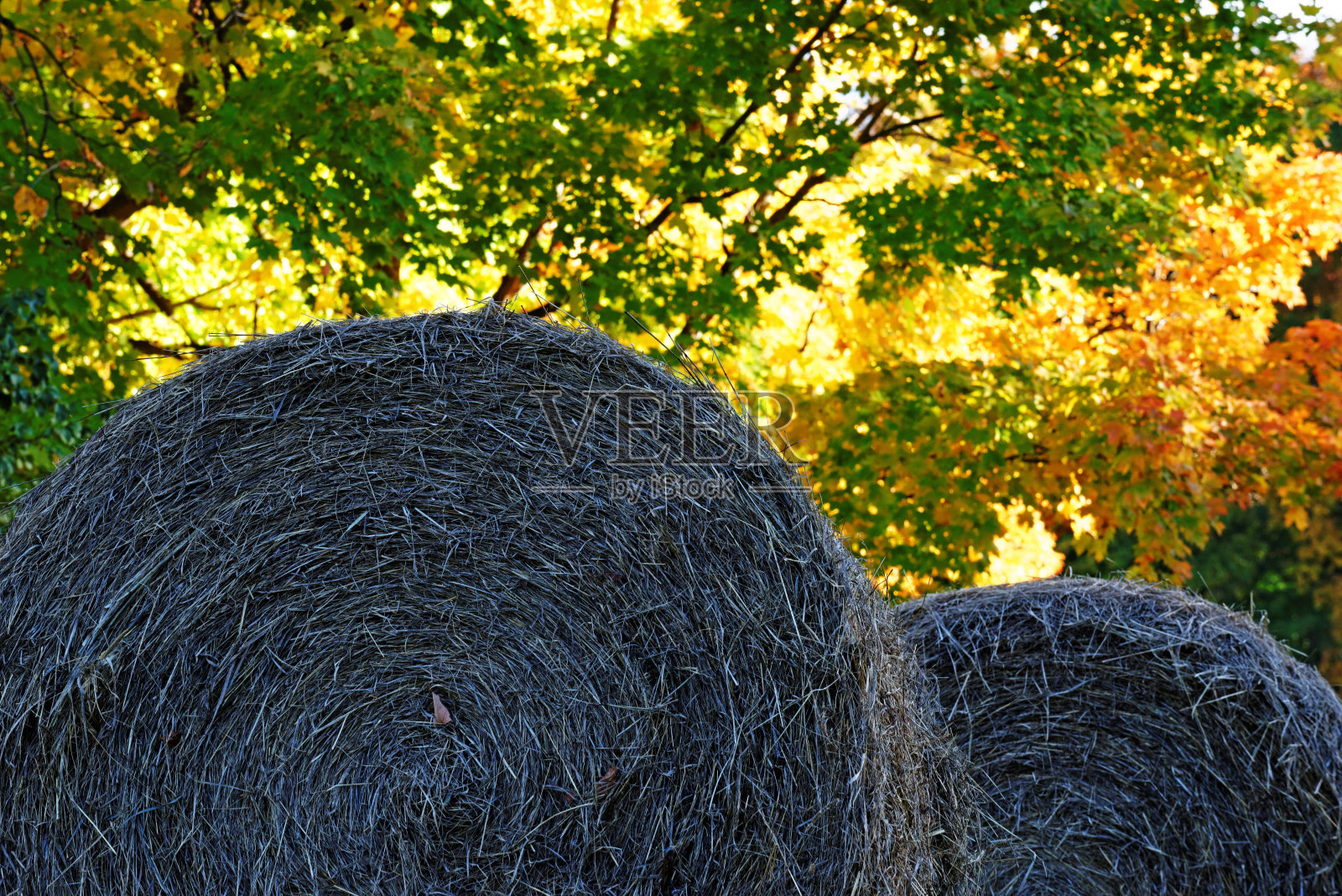 佛蒙特州的秋天照片摄影图片
