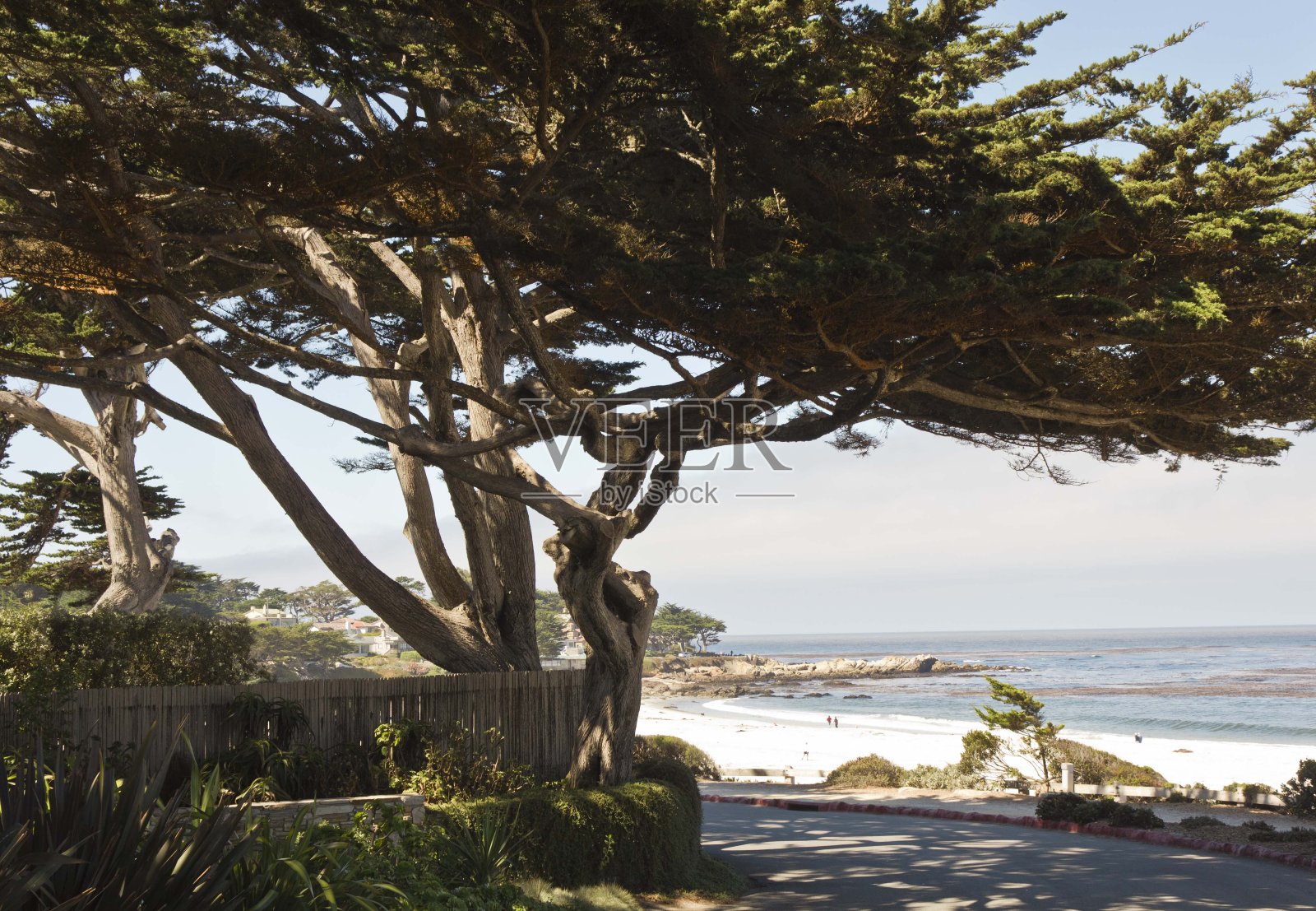 卡梅尔海滩在加利福尼亚照片摄影图片