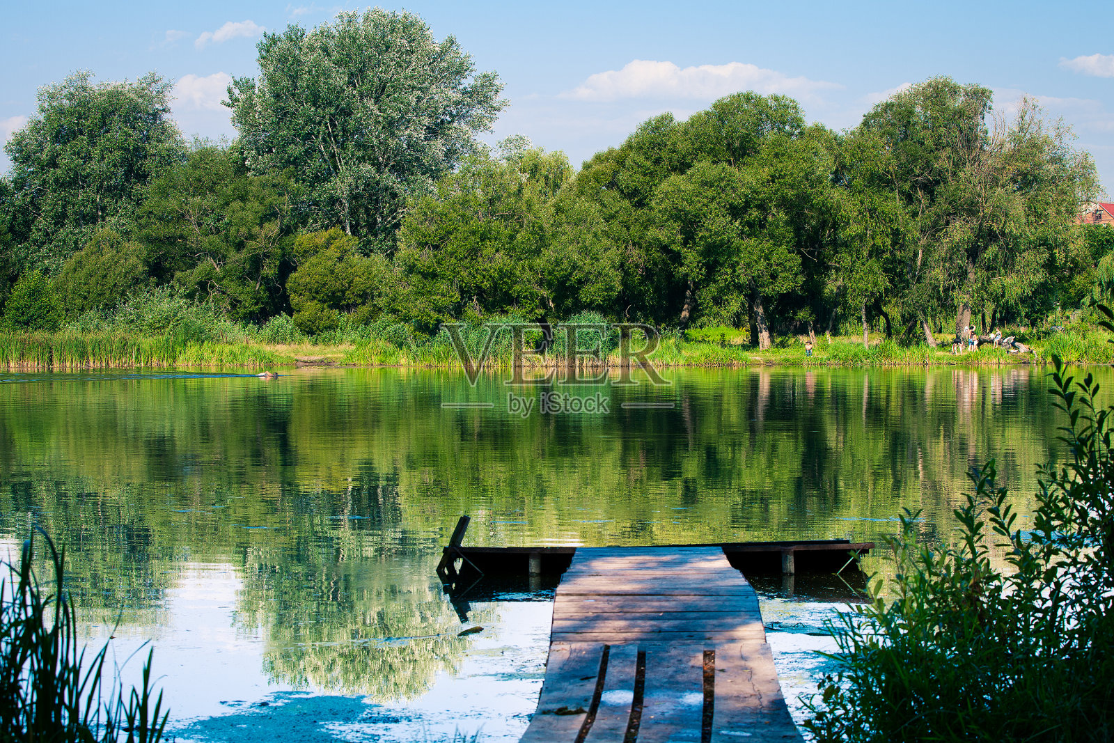 风景如画的森林和河流照片摄影图片