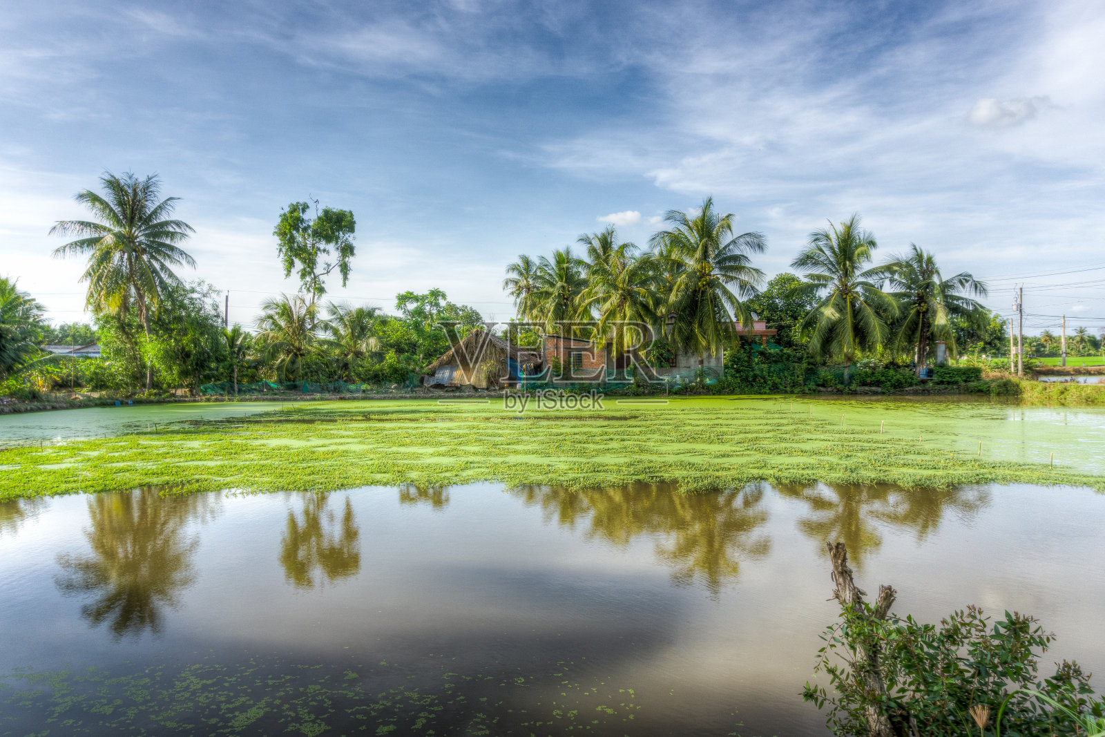 美丽的农田景观照片摄影图片