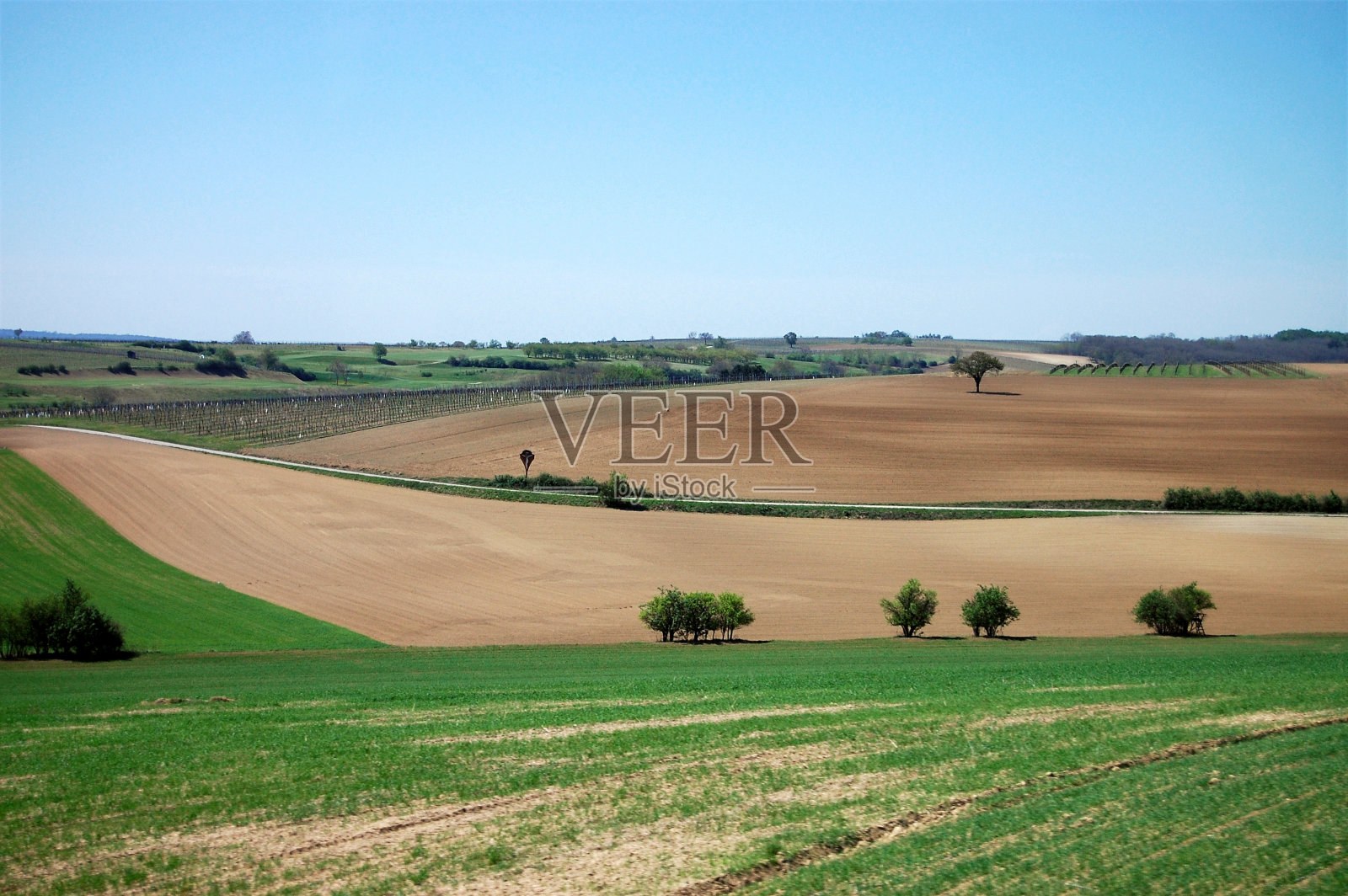 瑞士的春景照片摄影图片