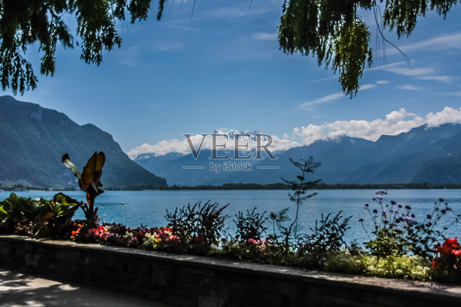 湖Lèman,花和山景。照片摄影图片