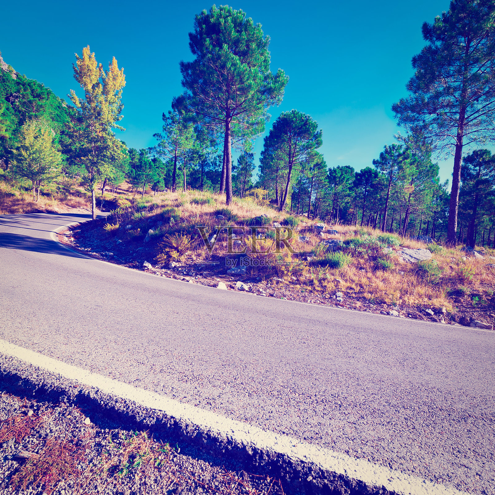沥青路面照片摄影图片