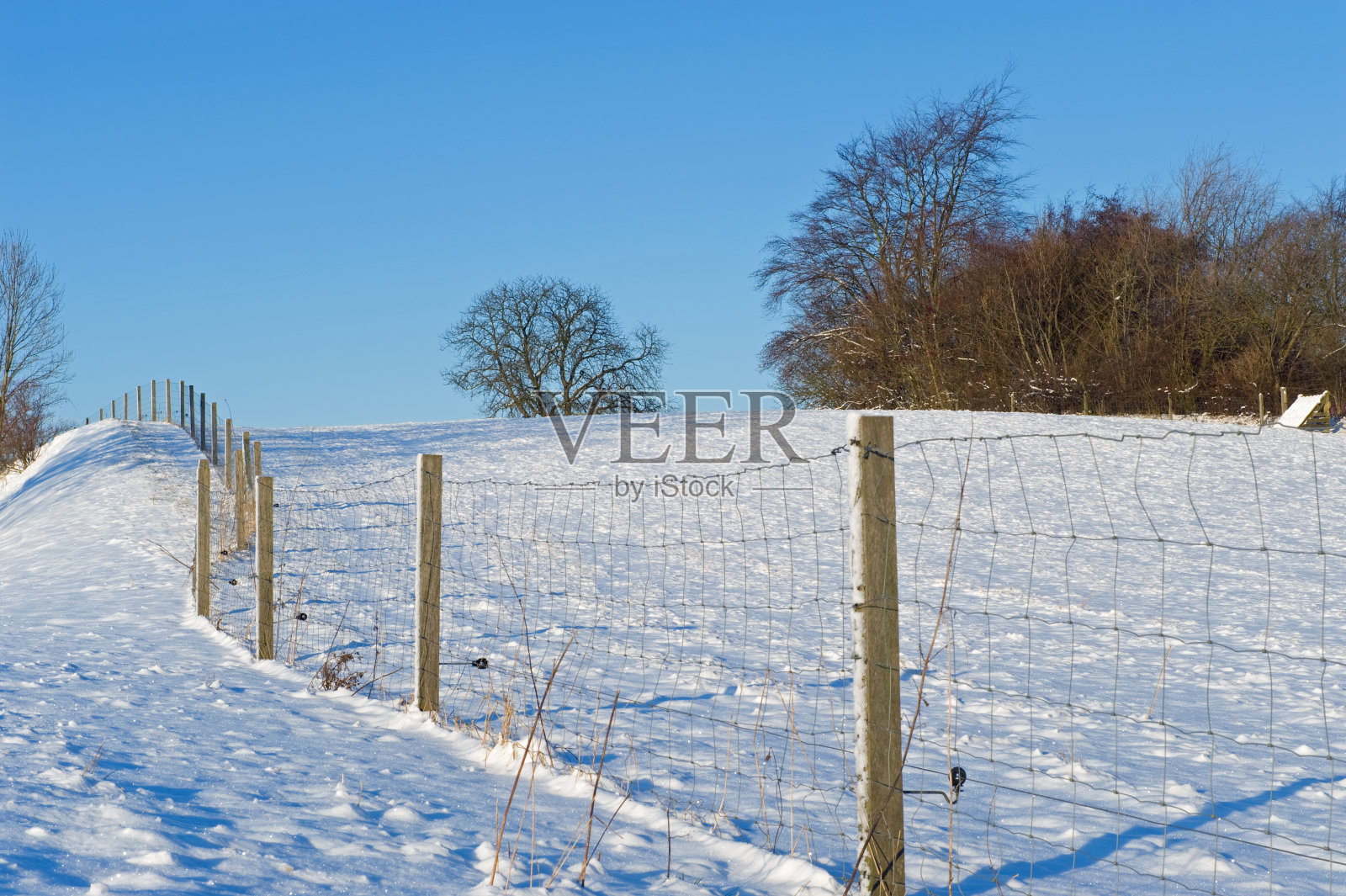 美丽的冬季景观覆盖在雪照片摄影图片