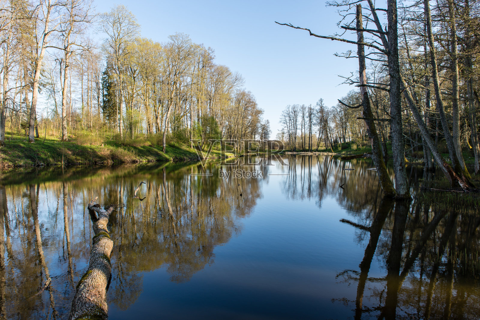 树和云在水中的风景倒影照片摄影图片
