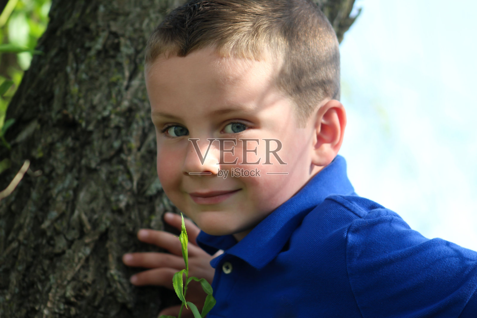 树上的快乐男孩为相机摆姿势照片摄影图片
