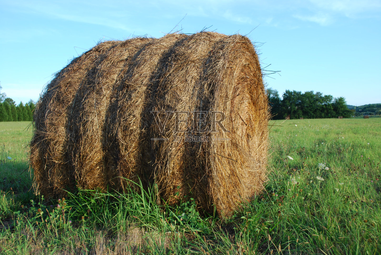 贝尔或海照片摄影图片