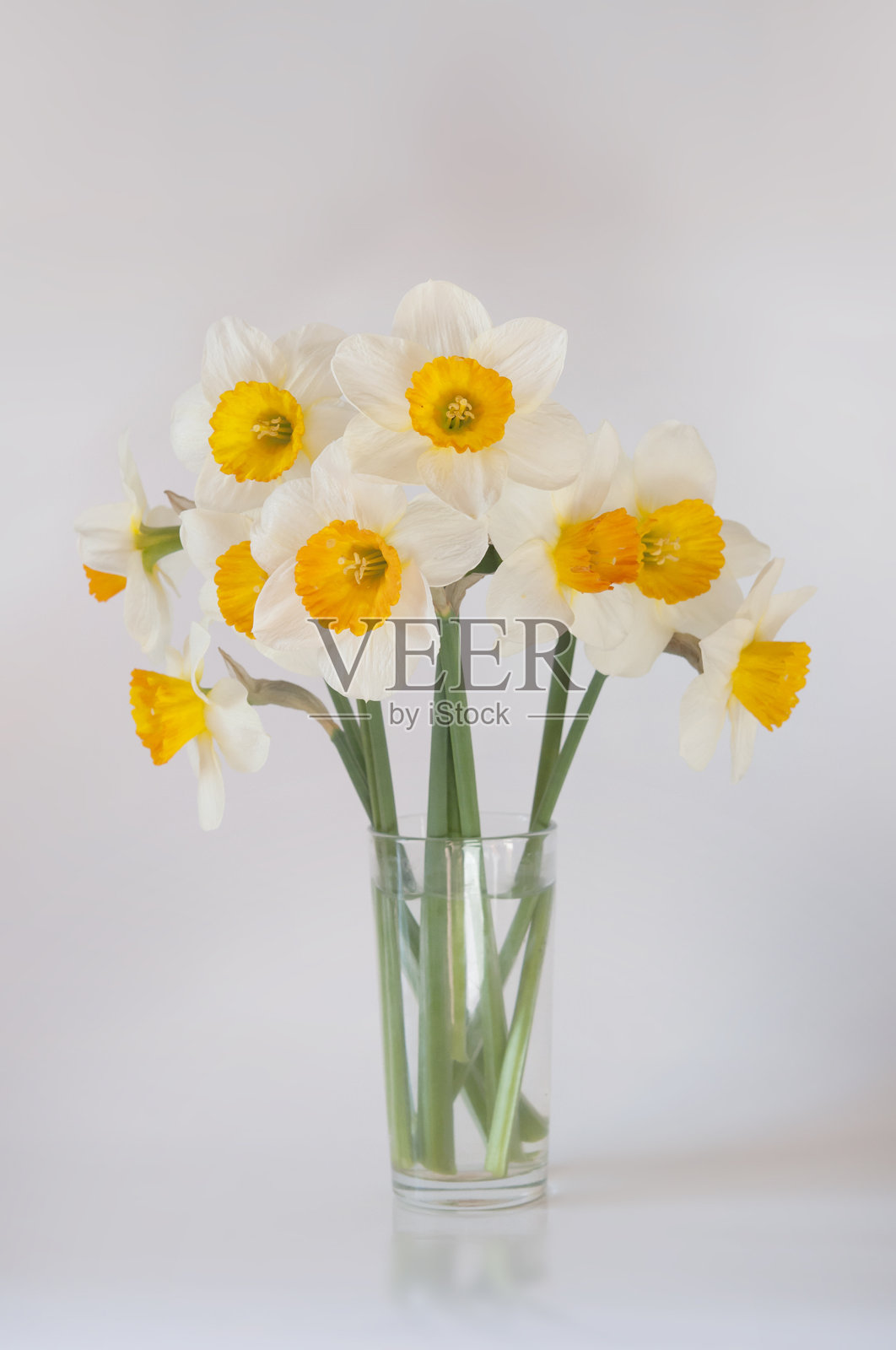 水仙花在明亮的背景下成束照片摄影图片