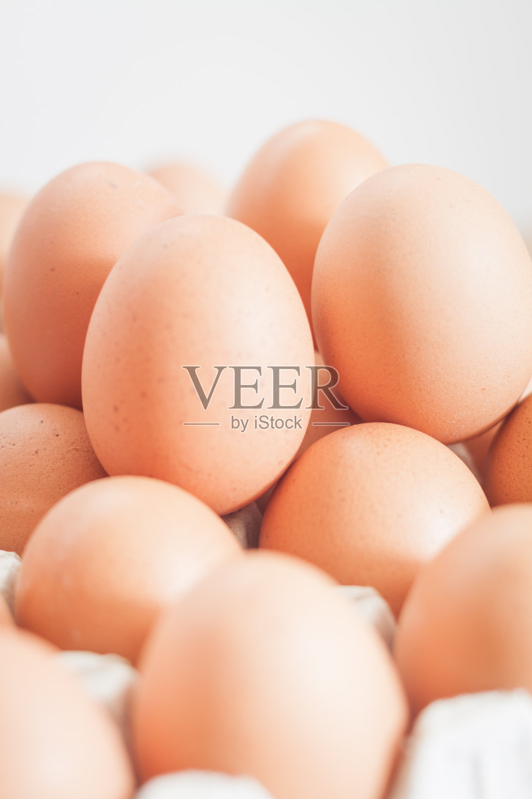 封闭的新鲜鸡蛋照片摄影图片