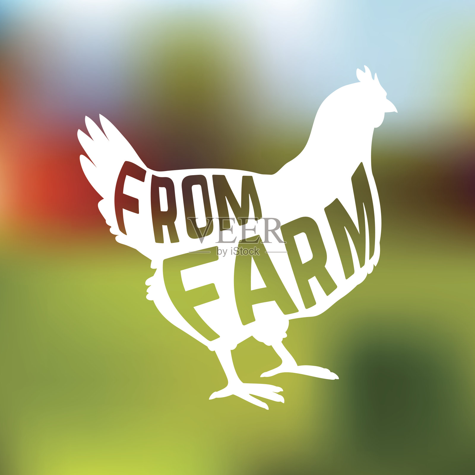农场母鸡的剪影与文本内模糊的背景插画图片素材