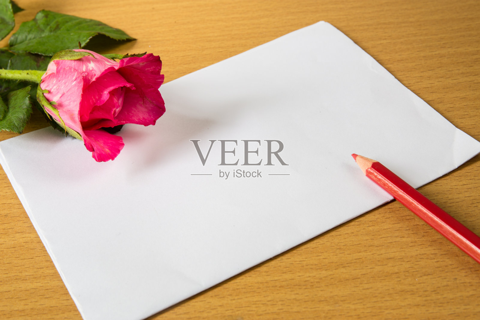 一张纸和一朵玫瑰照片摄影图片