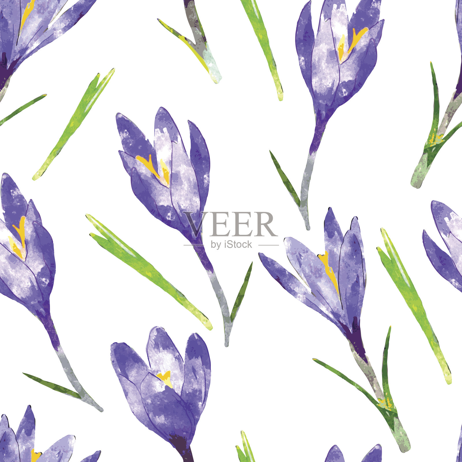 水彩无缝图案与紫色藏红花和绿色插画图片素材