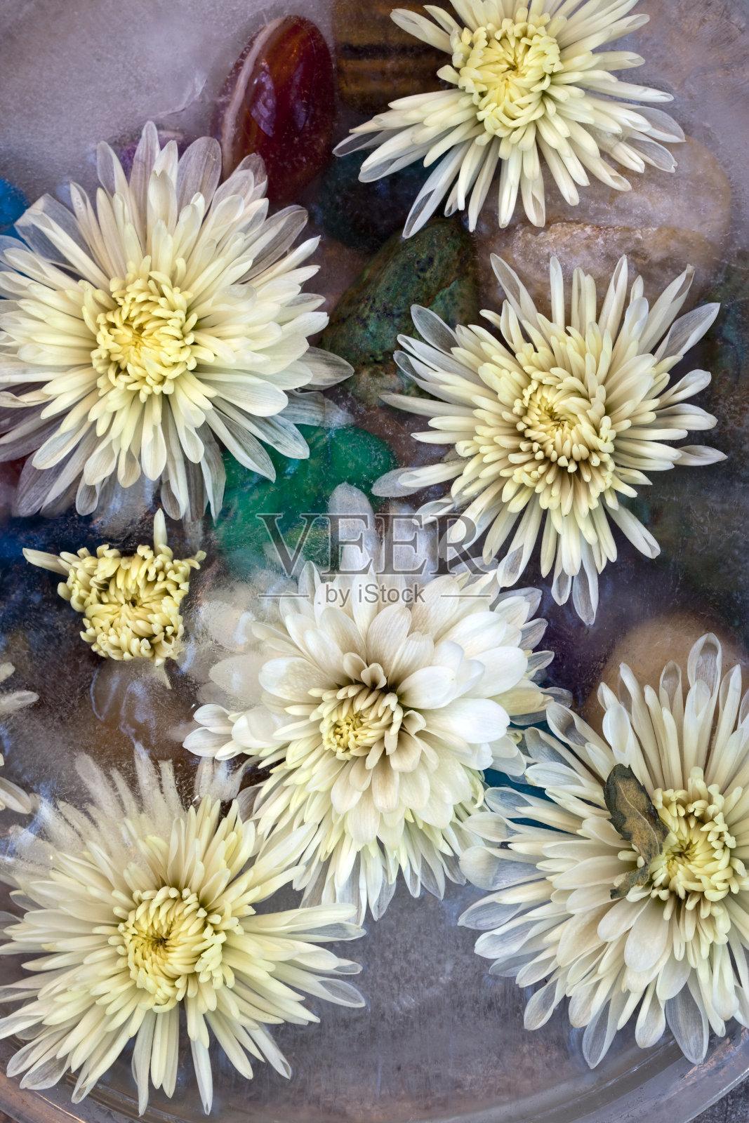 冰冻的妈妈照片摄影图片