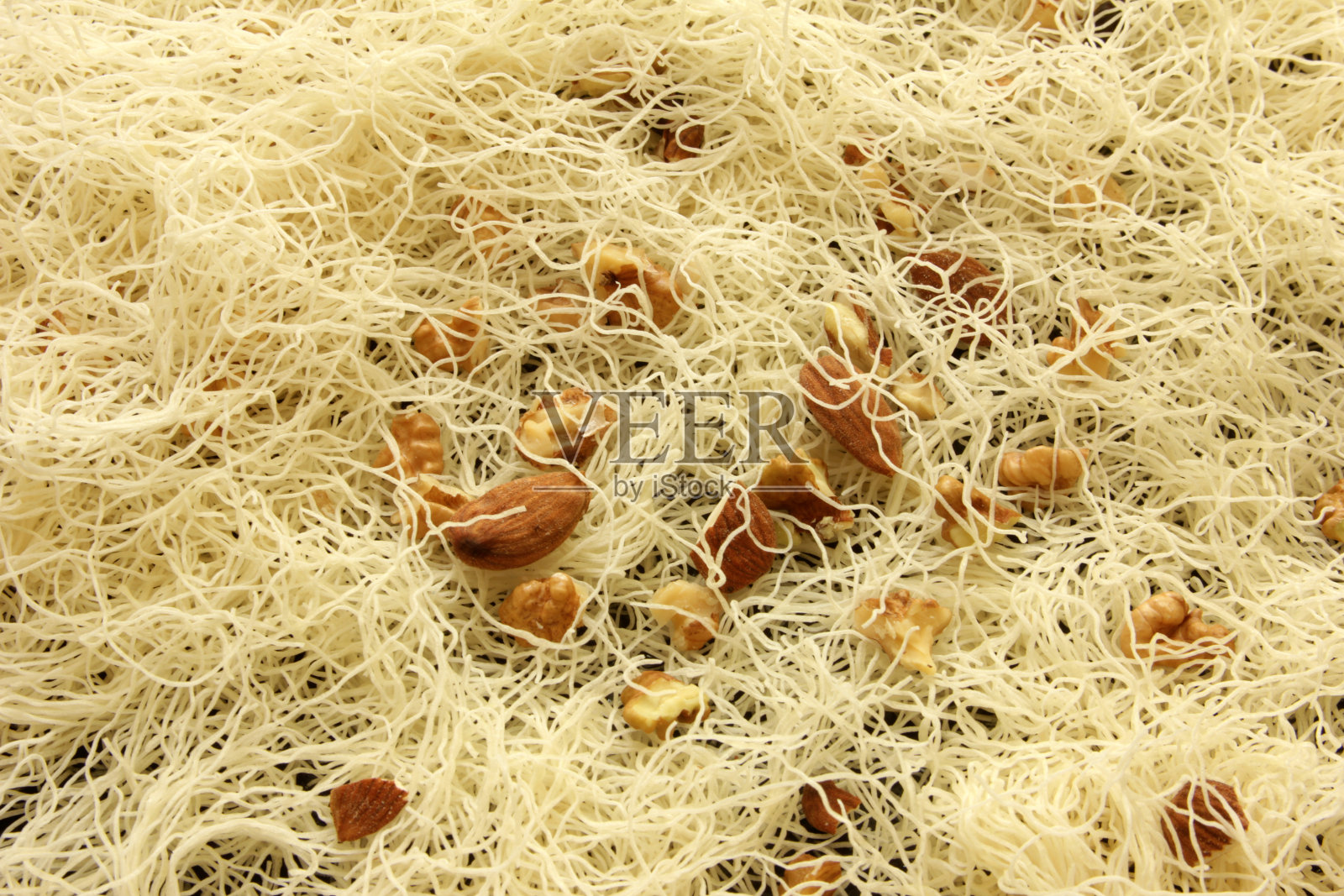 贝壳的全帧拍摄照片摄影图片