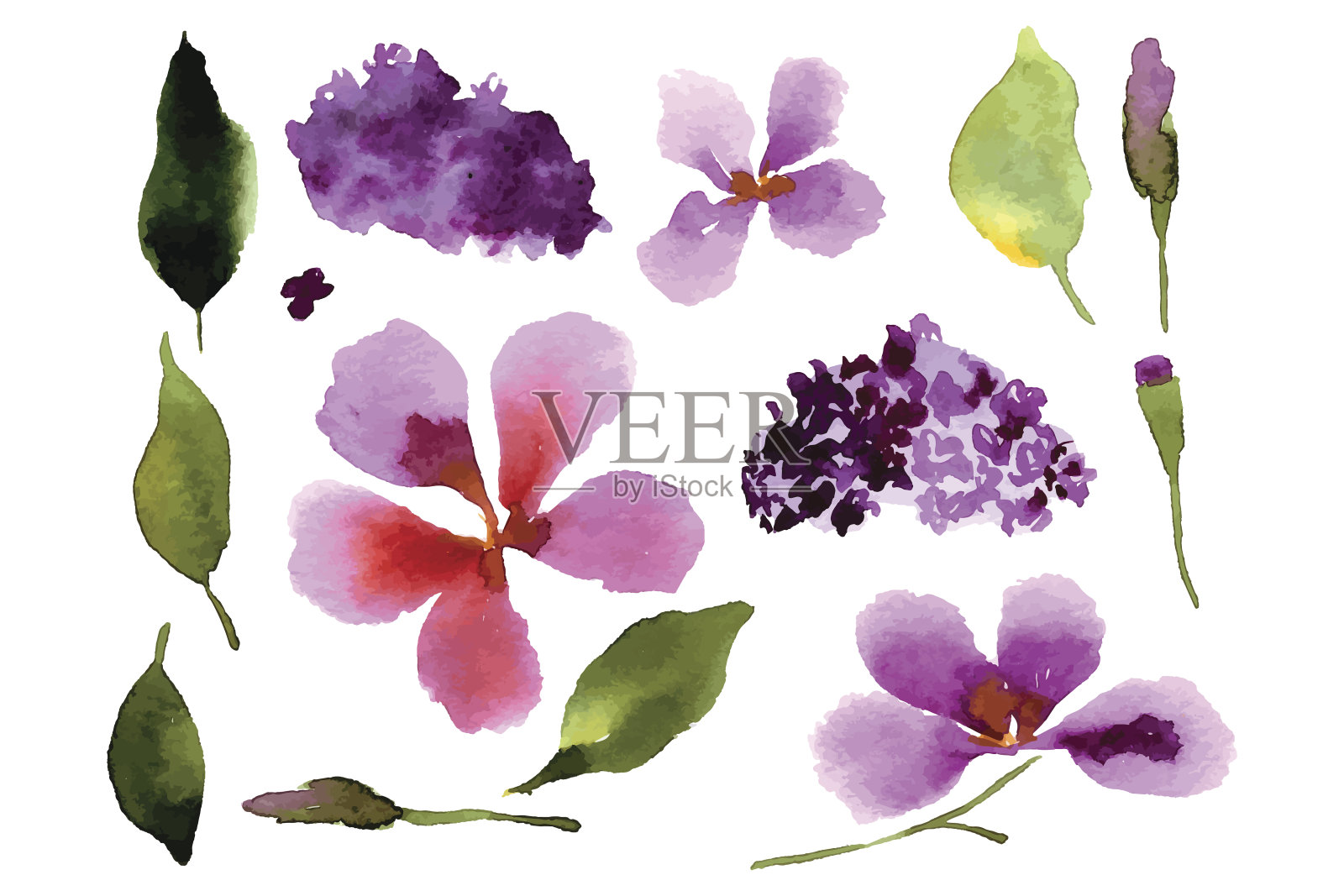 用花和叶子做的插图插画图片素材