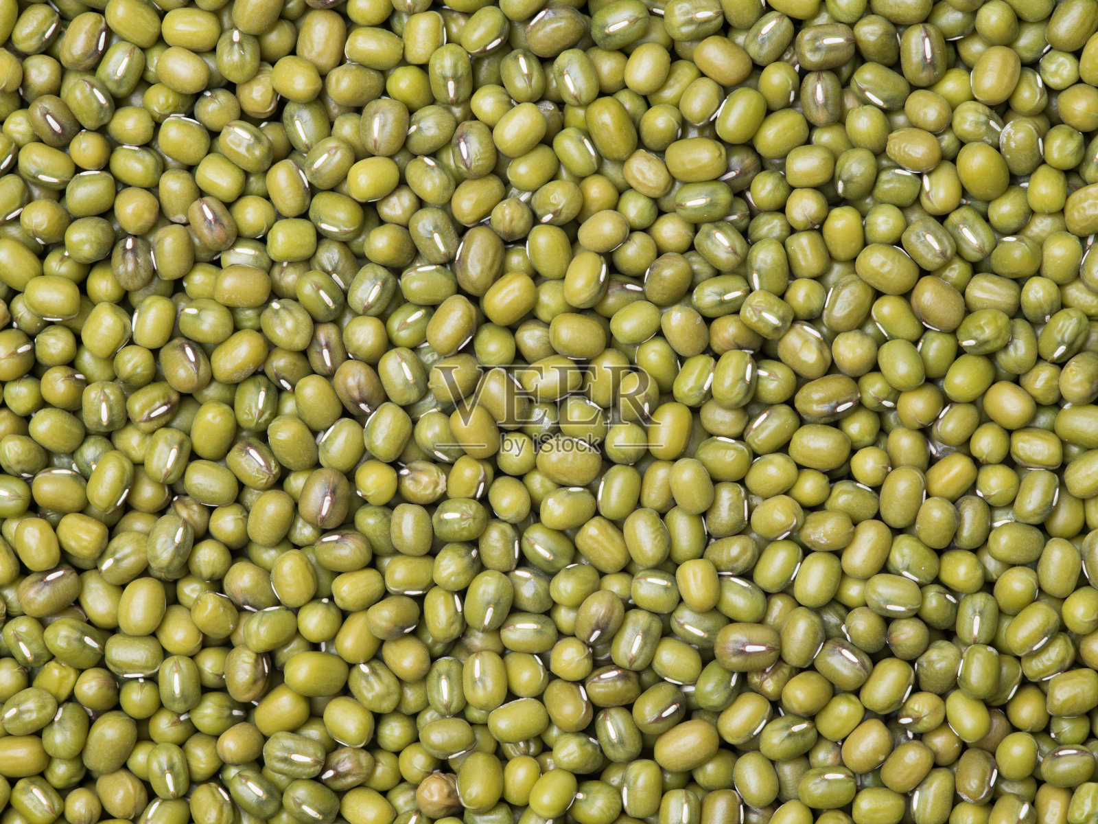 绿豆孤立在白色背景与剪切路径照片摄影图片